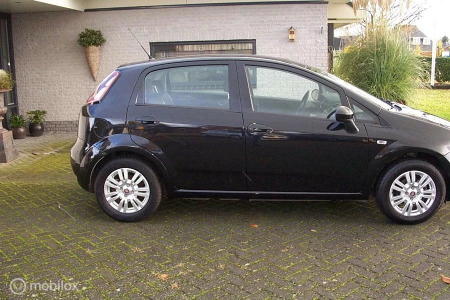 Hoofdafbeelding Fiat Punto