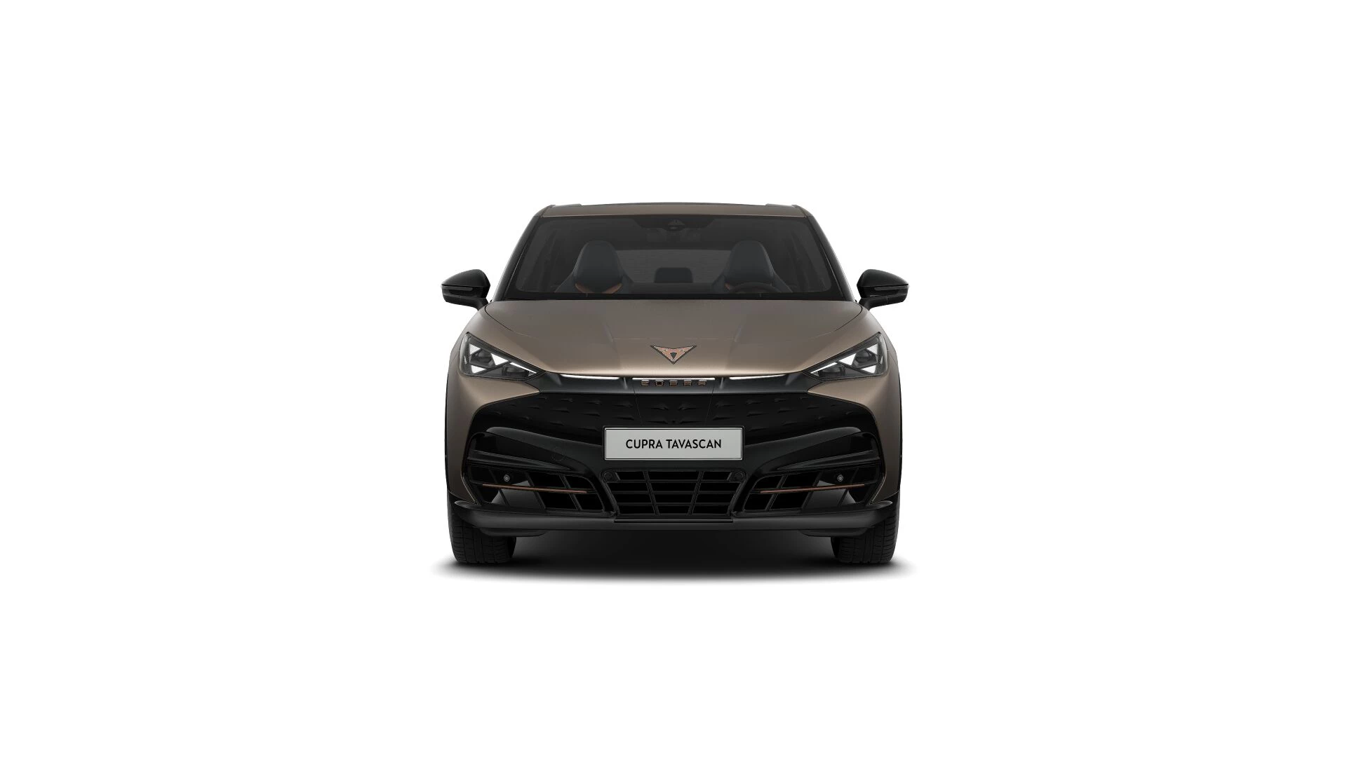 Hoofdafbeelding CUPRA Tavascan