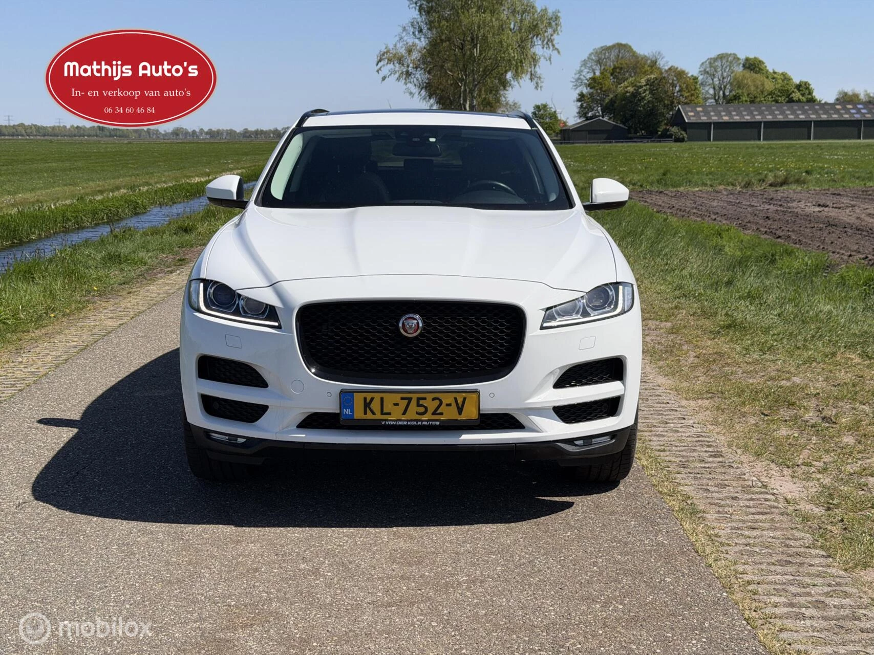 Hoofdafbeelding Jaguar F-PACE
