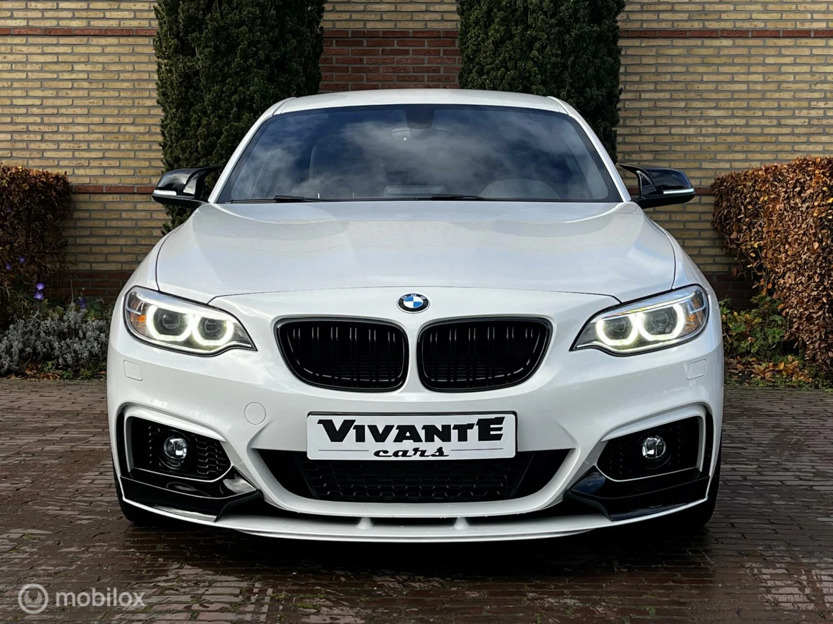 Hoofdafbeelding BMW 2 Serie