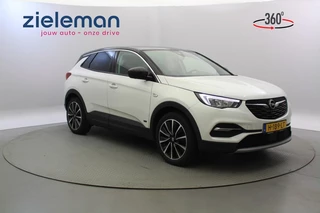Opel Grandland X 1.6 Turbo Hybrid4 Business Executive - Carplay, Half Leer
