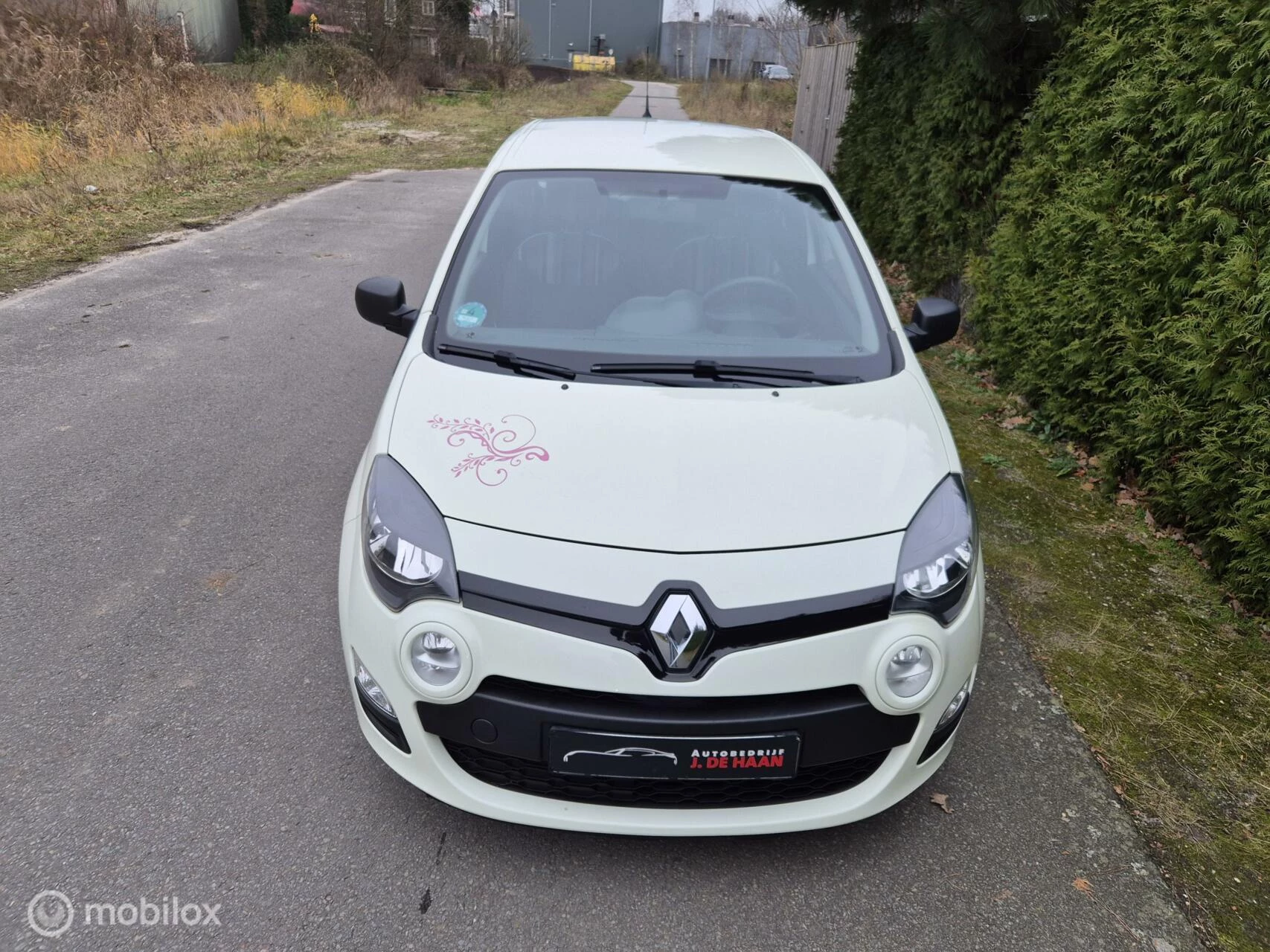 Hoofdafbeelding Renault Twingo