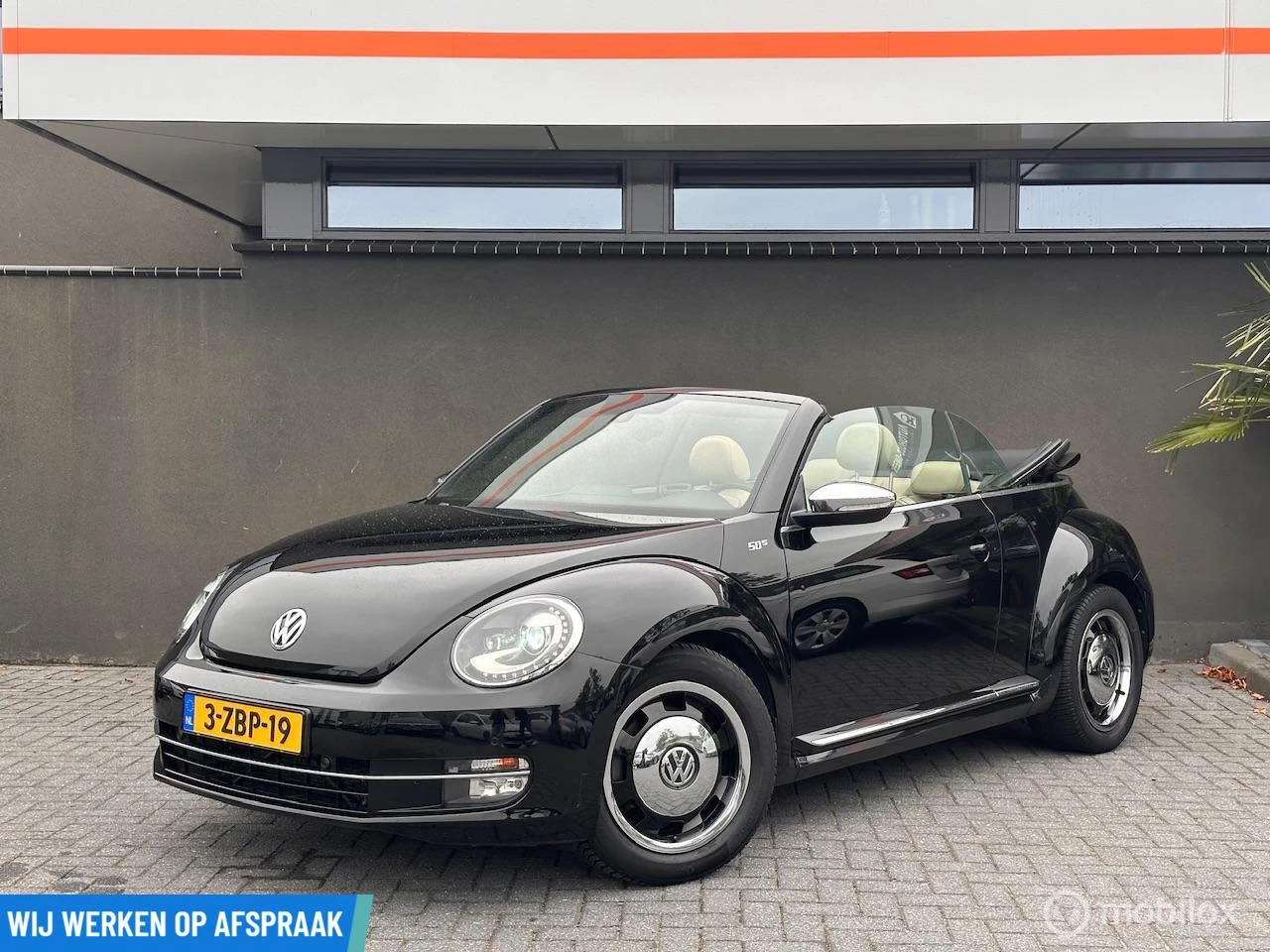 Hoofdafbeelding Volkswagen Beetle