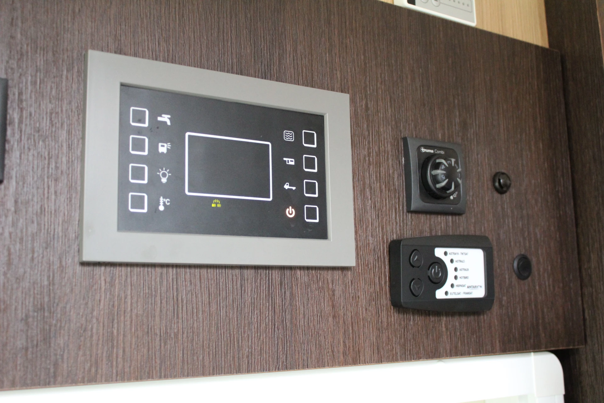 Hoofdafbeelding McLouis YEARLING