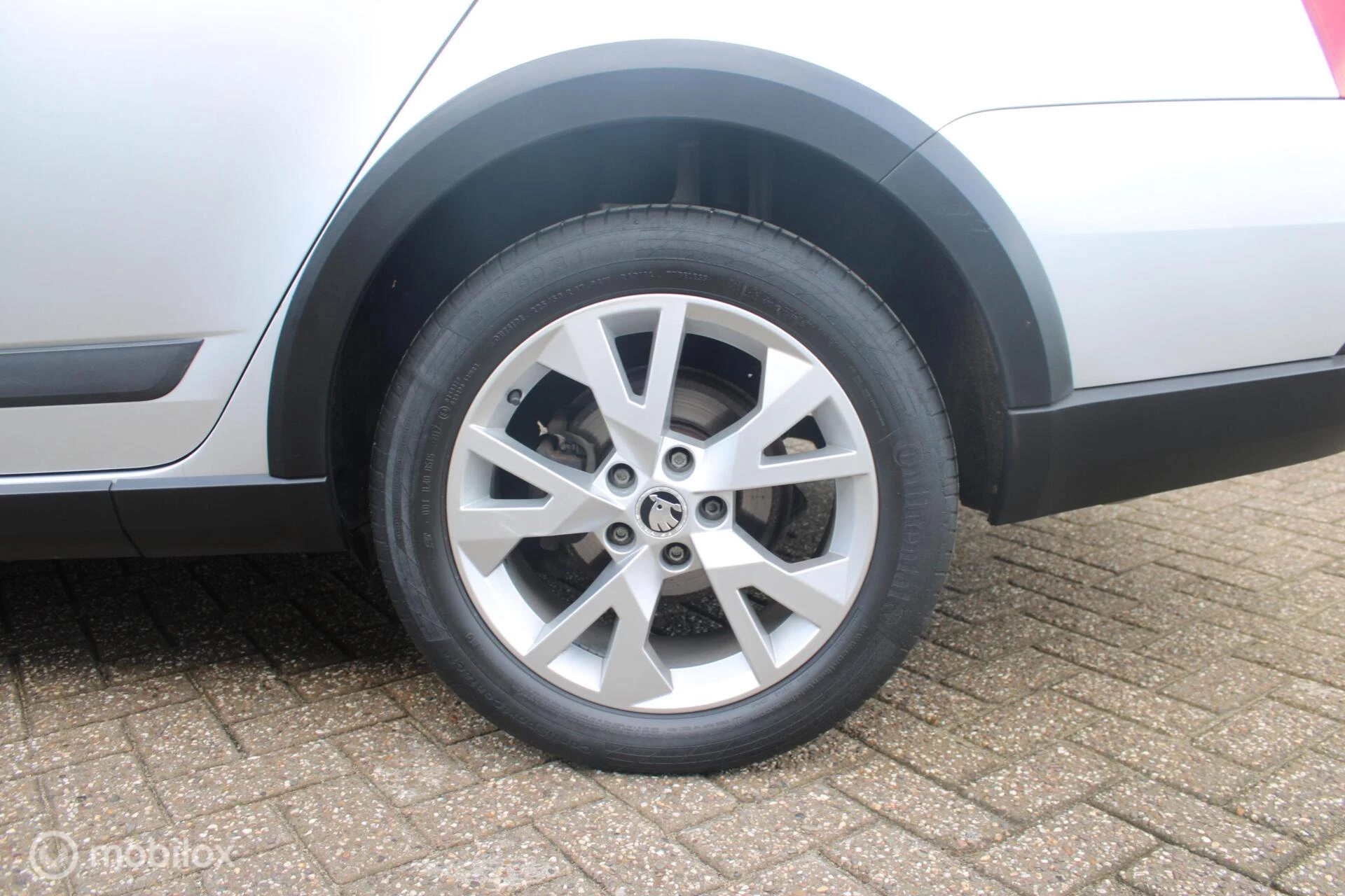 Hoofdafbeelding Škoda Octavia