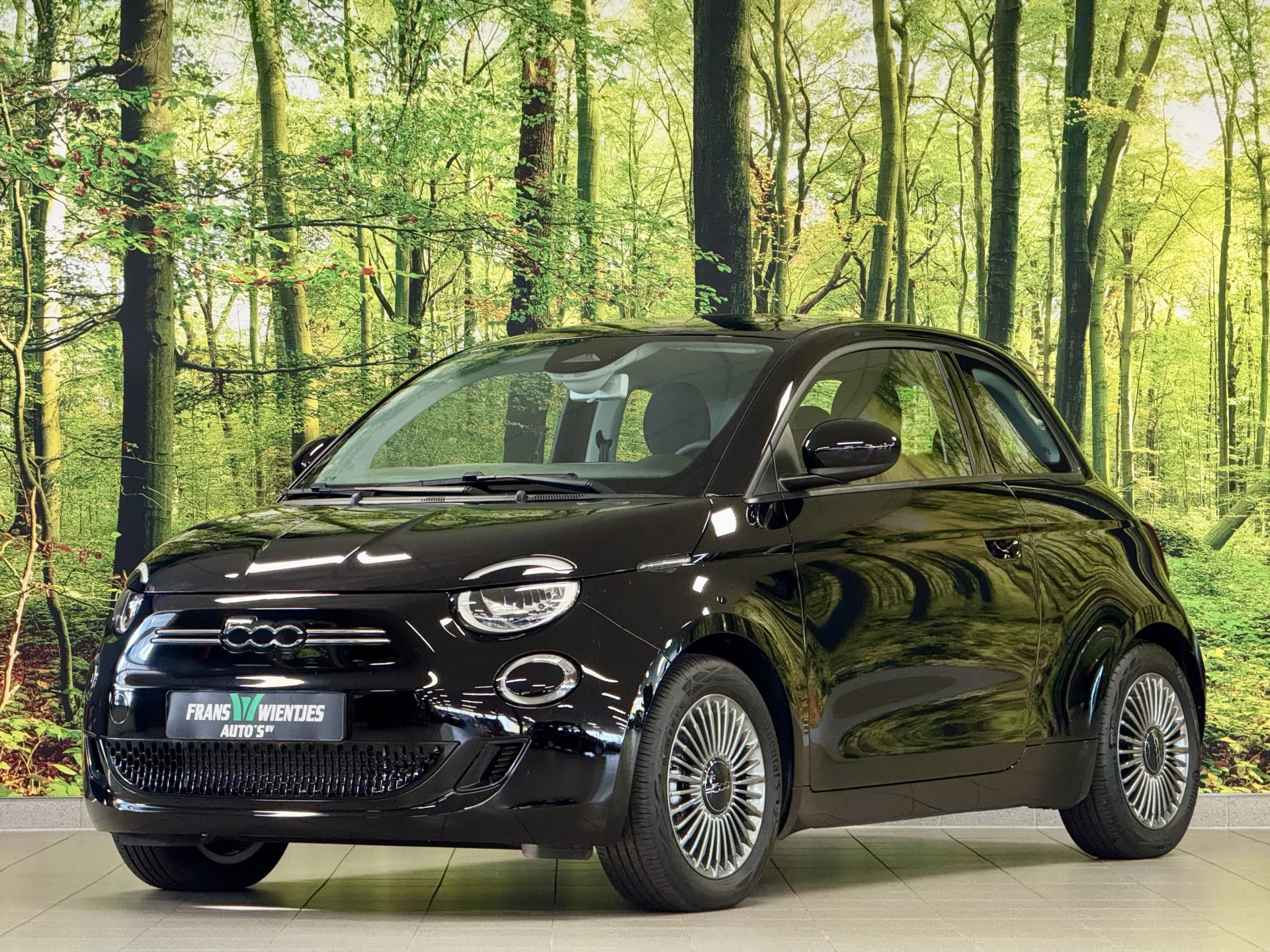 Hoofdafbeelding Fiat 500e