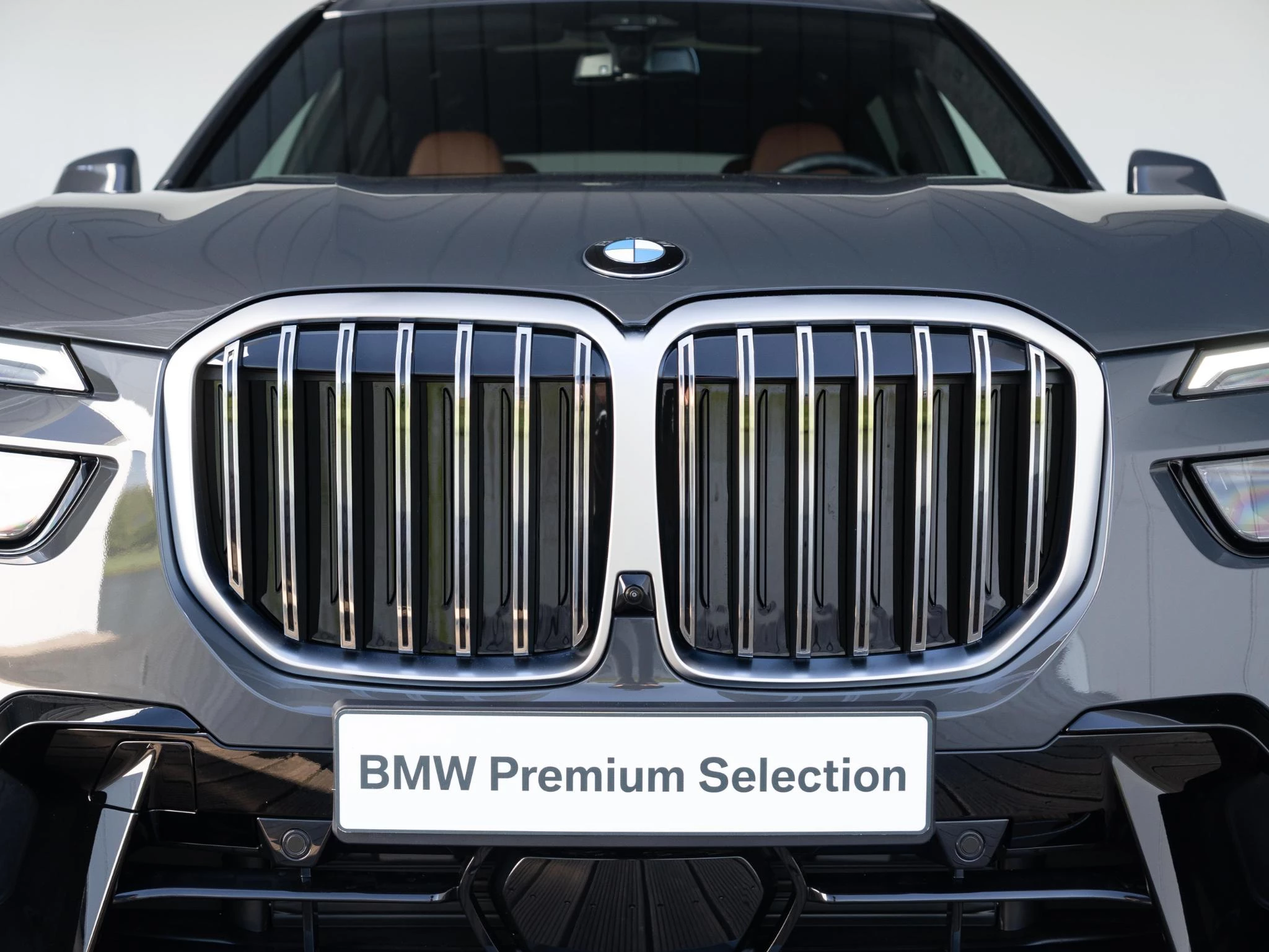 Hoofdafbeelding BMW X7