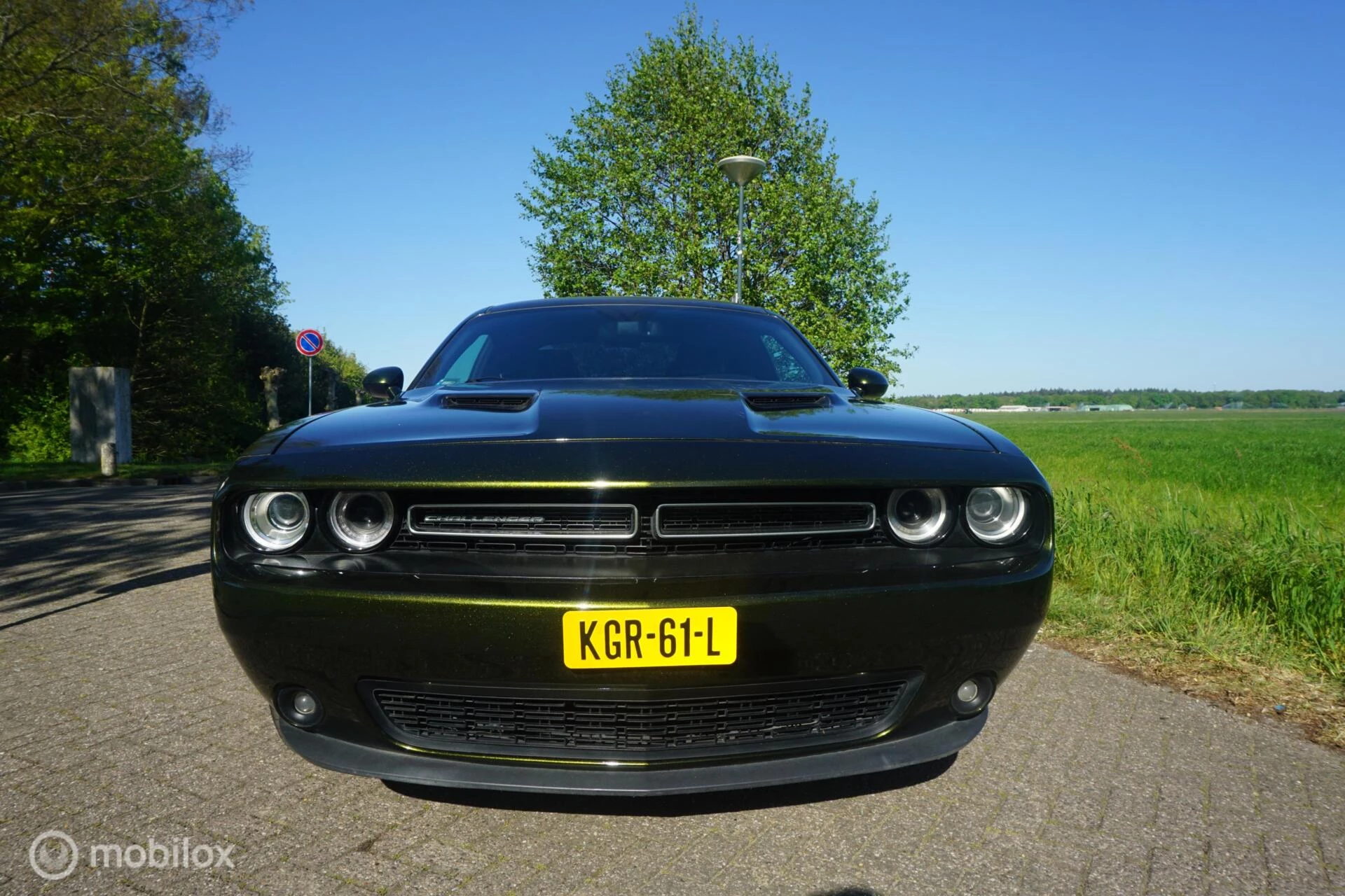 Hoofdafbeelding Dodge Challenger