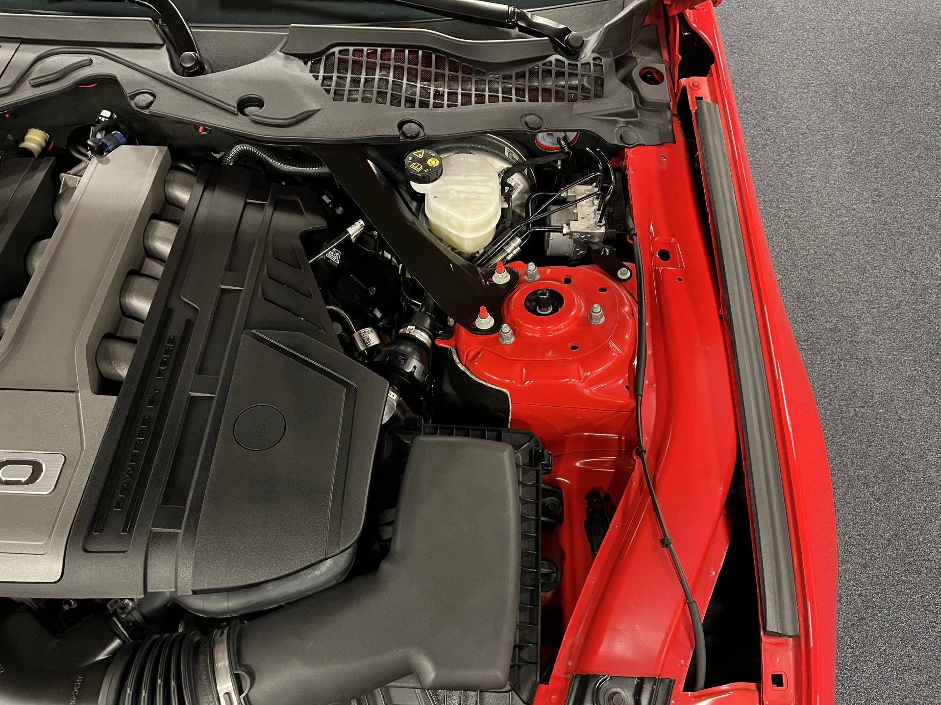 Hoofdafbeelding Ford Mustang