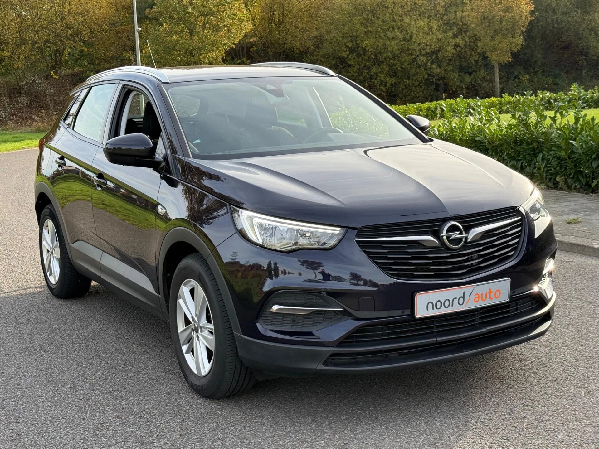 Hoofdafbeelding Opel Grandland X