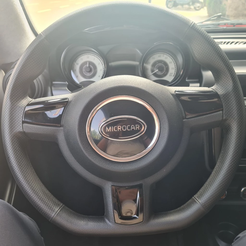 Hoofdafbeelding Microcar M.go
