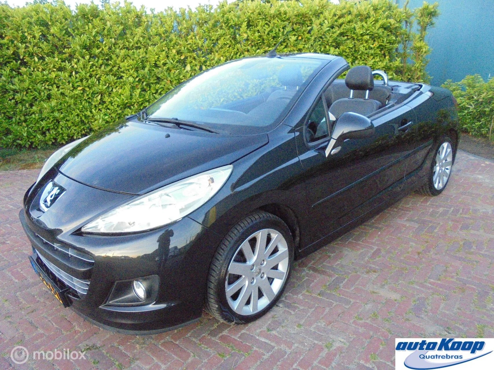 Hoofdafbeelding Peugeot 207