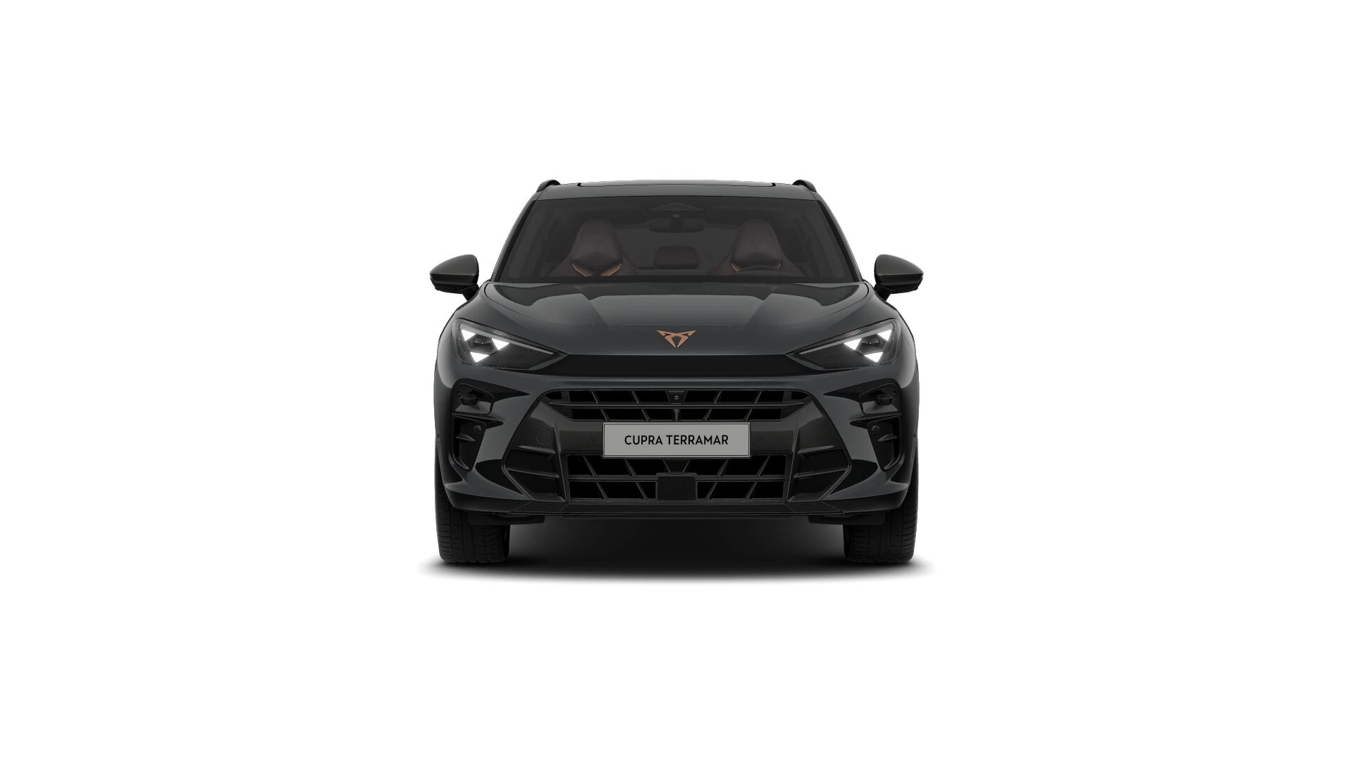 Hoofdafbeelding CUPRA Terramar