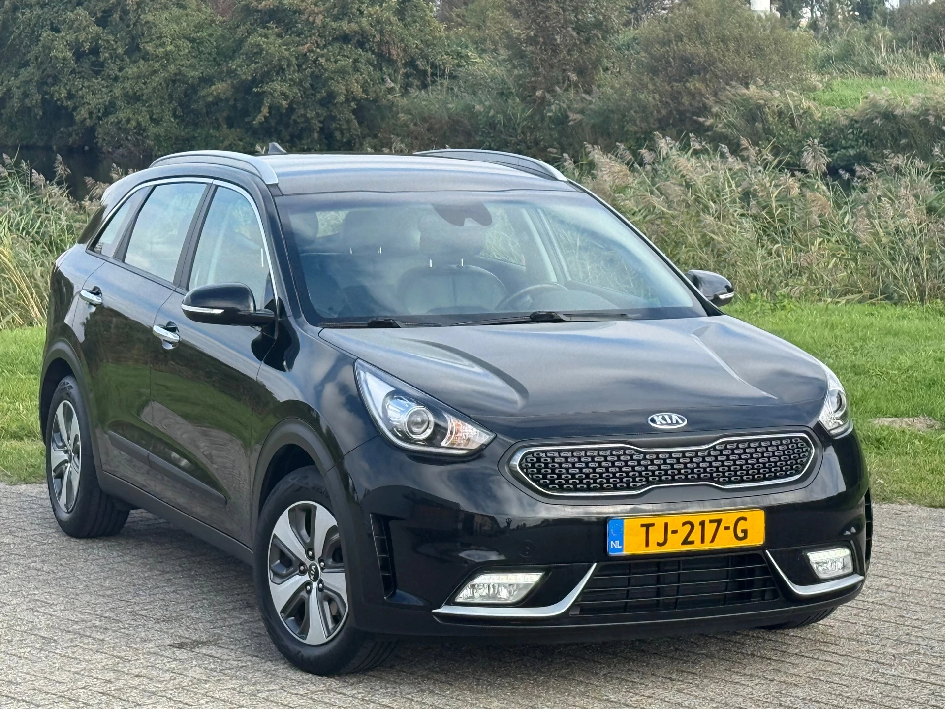 Hoofdafbeelding Kia Niro