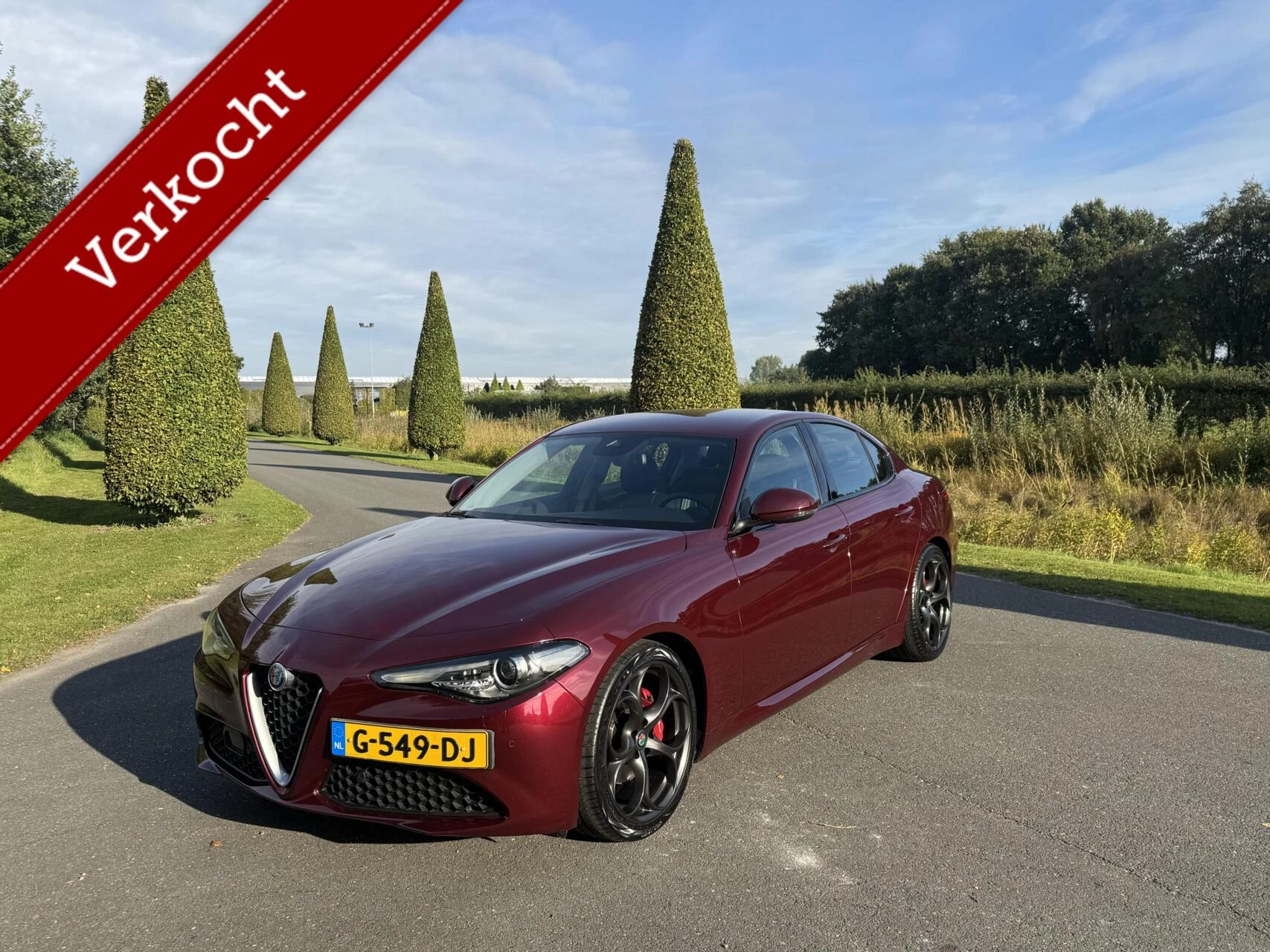 Hoofdafbeelding Alfa Romeo Giulia