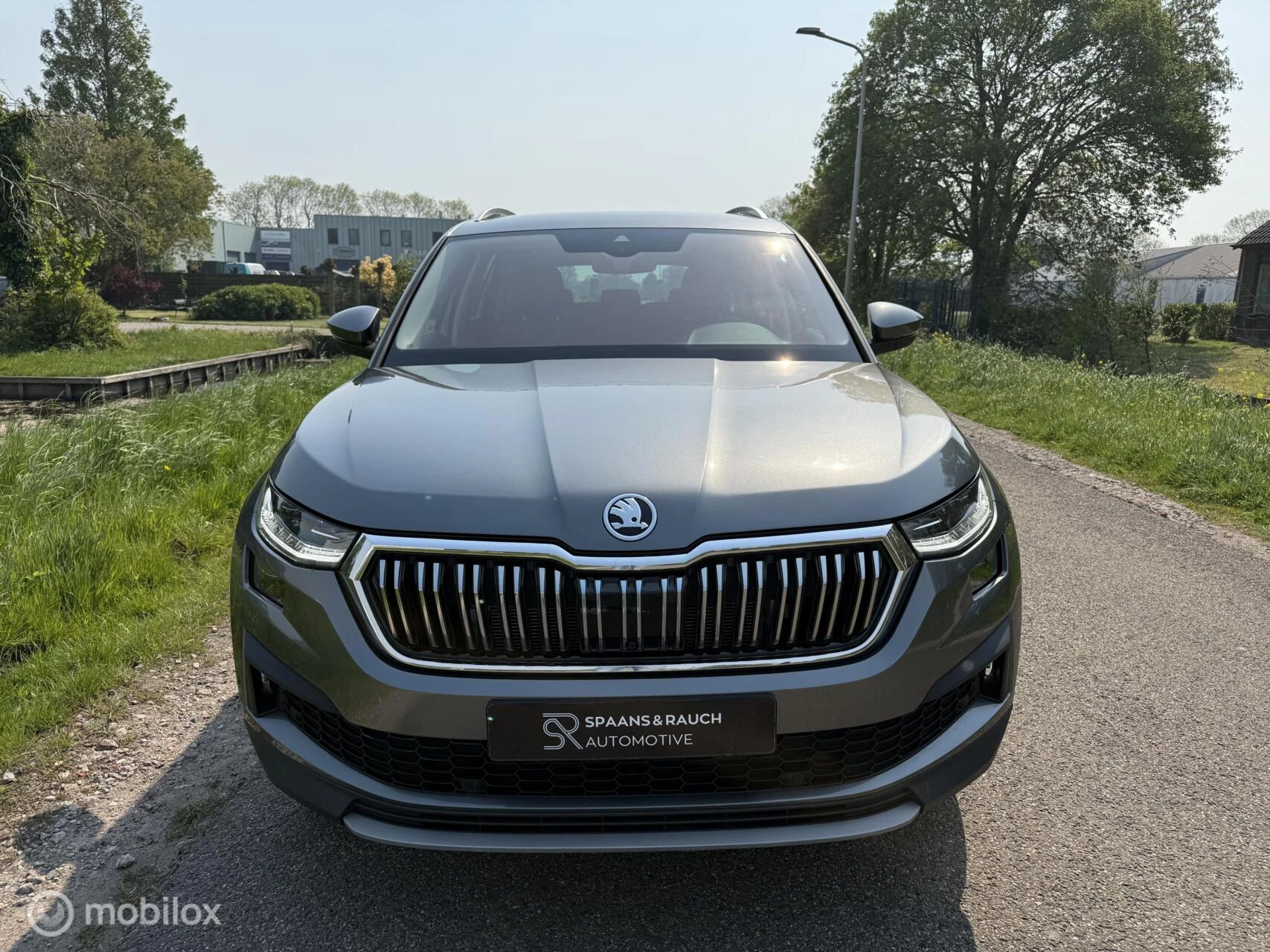 Hoofdafbeelding Škoda Kodiaq