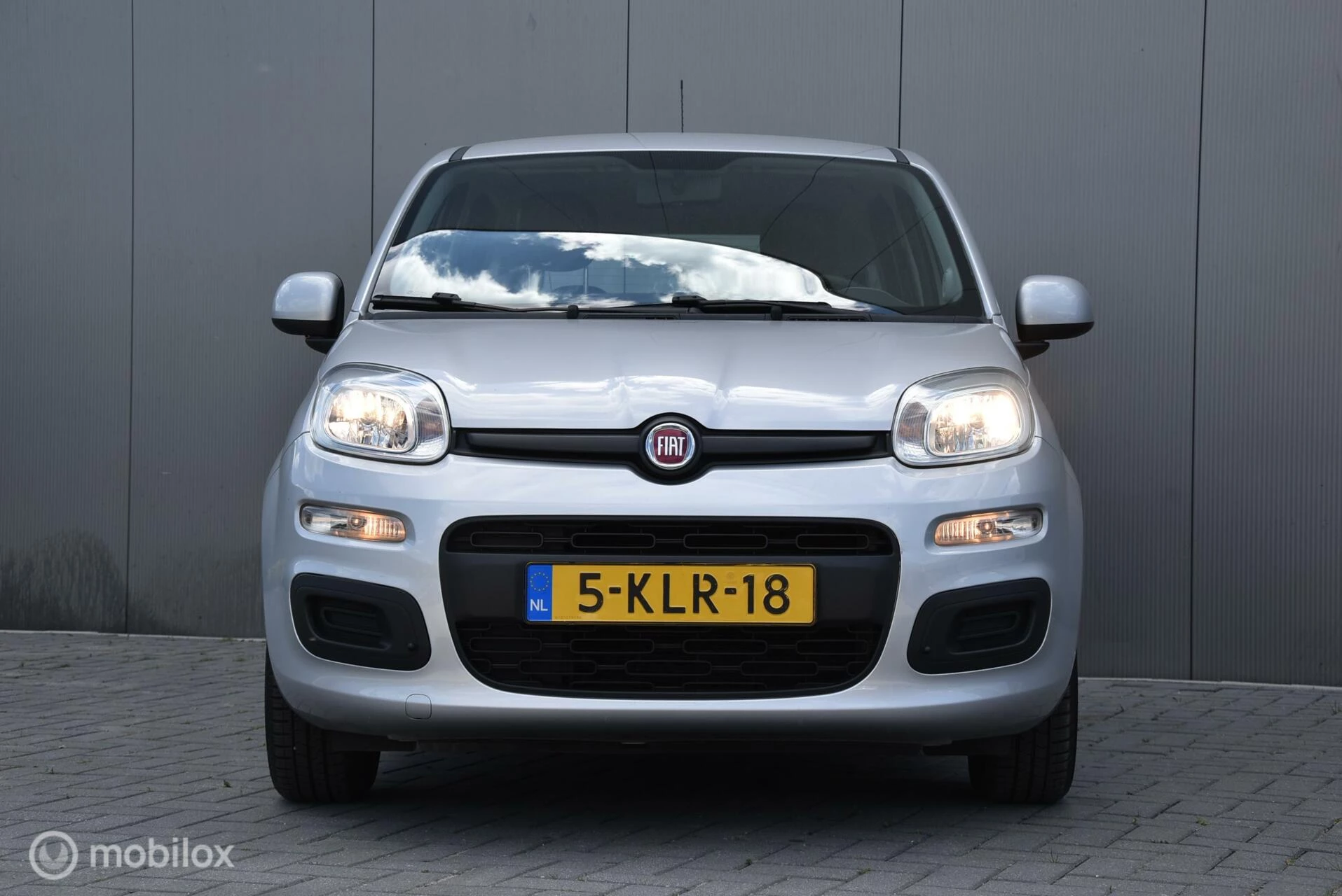 Hoofdafbeelding Fiat Panda