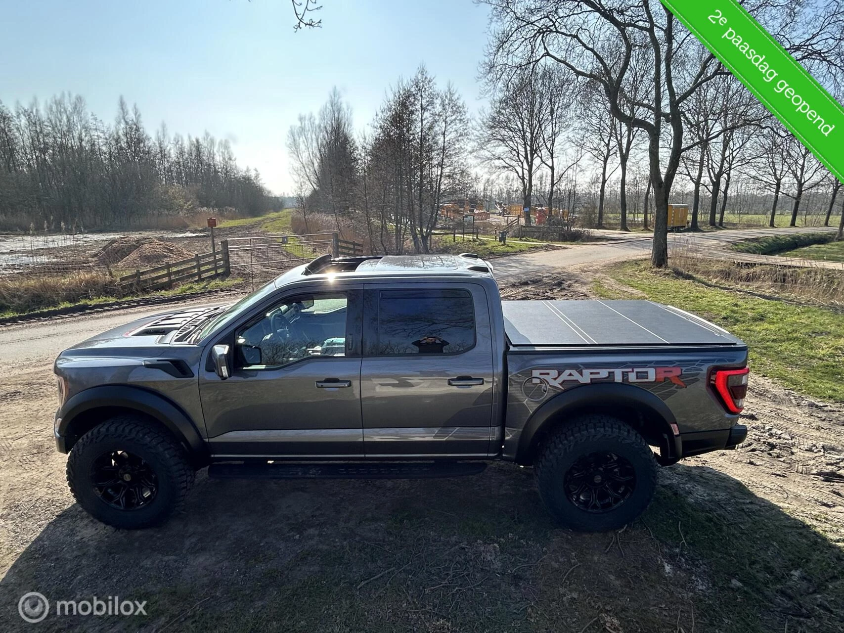 Hoofdafbeelding Ford F-150