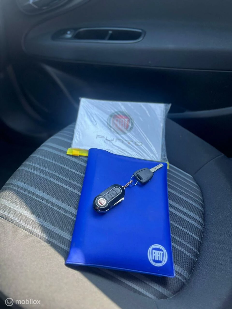 Hoofdafbeelding Fiat Punto