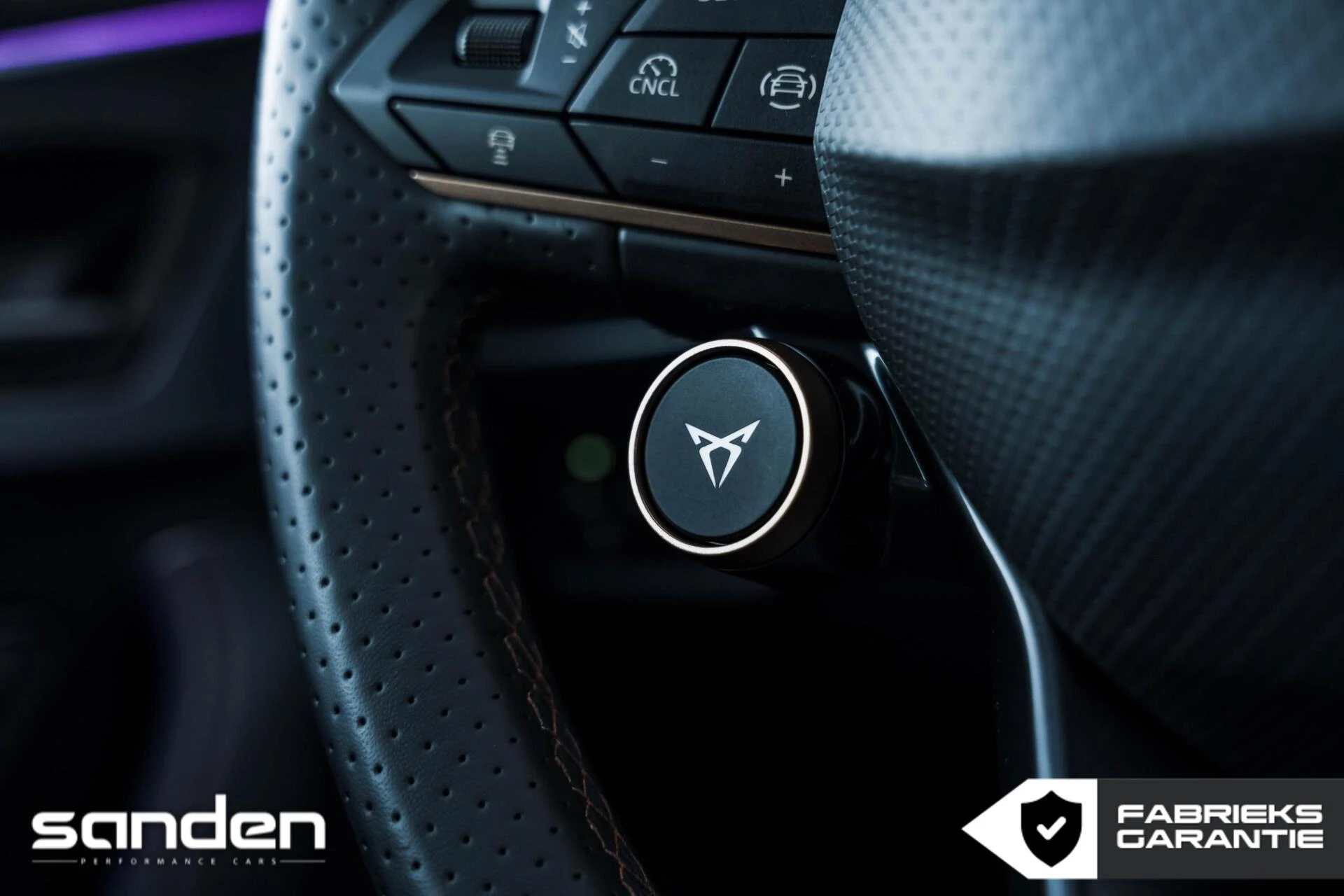 Hoofdafbeelding CUPRA Formentor