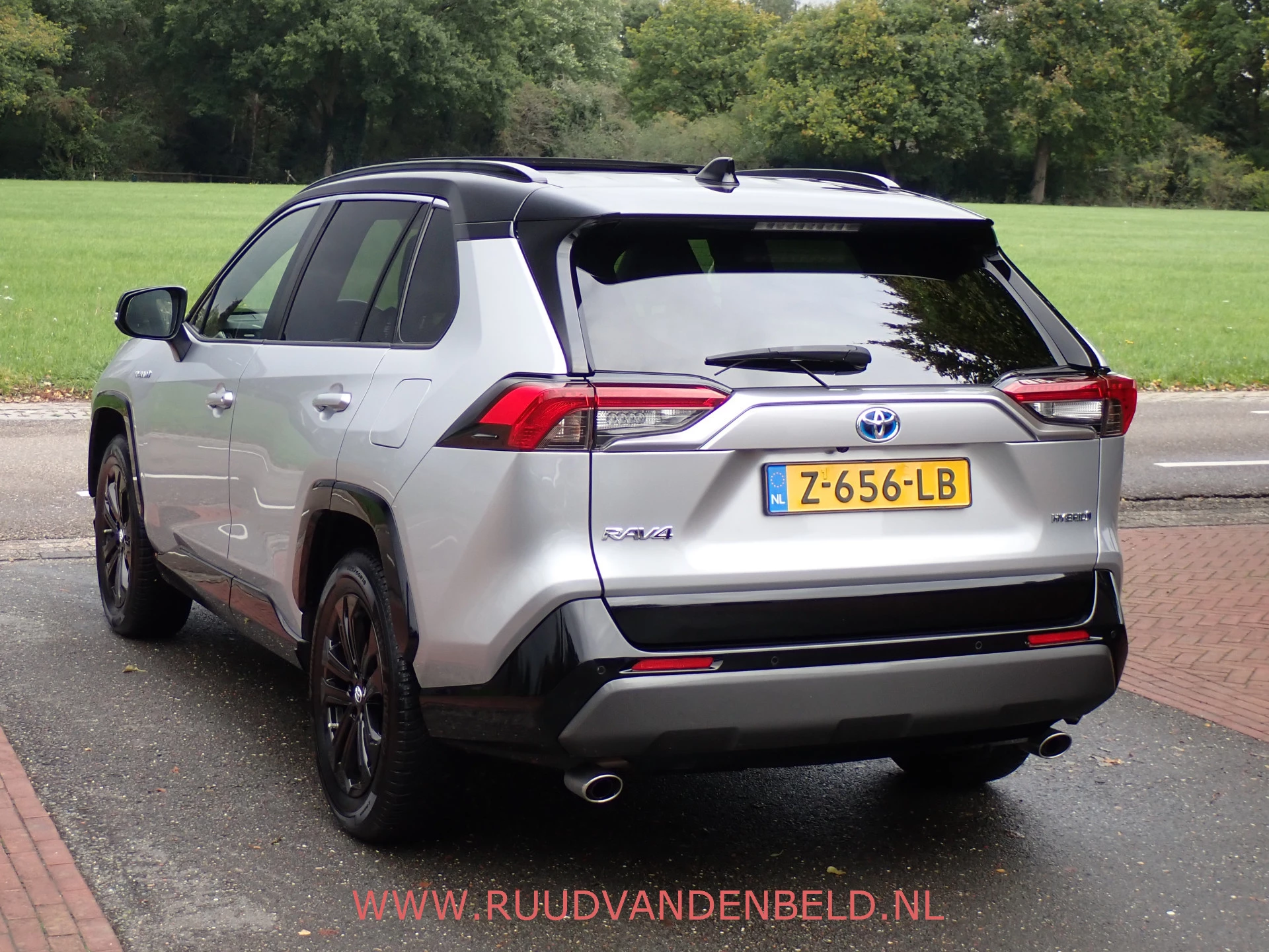 Hoofdafbeelding Toyota RAV4