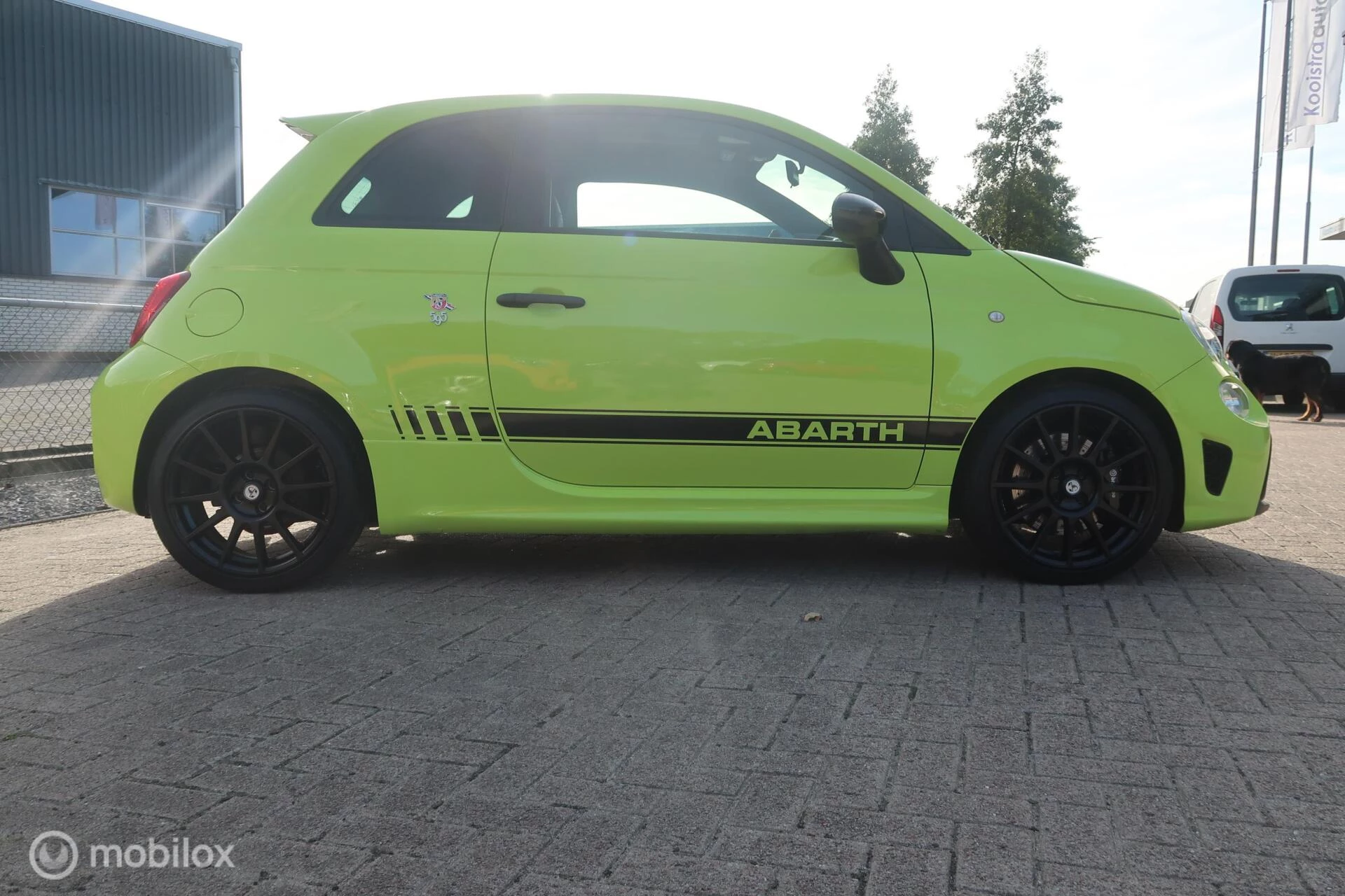 Hoofdafbeelding Fiat 500