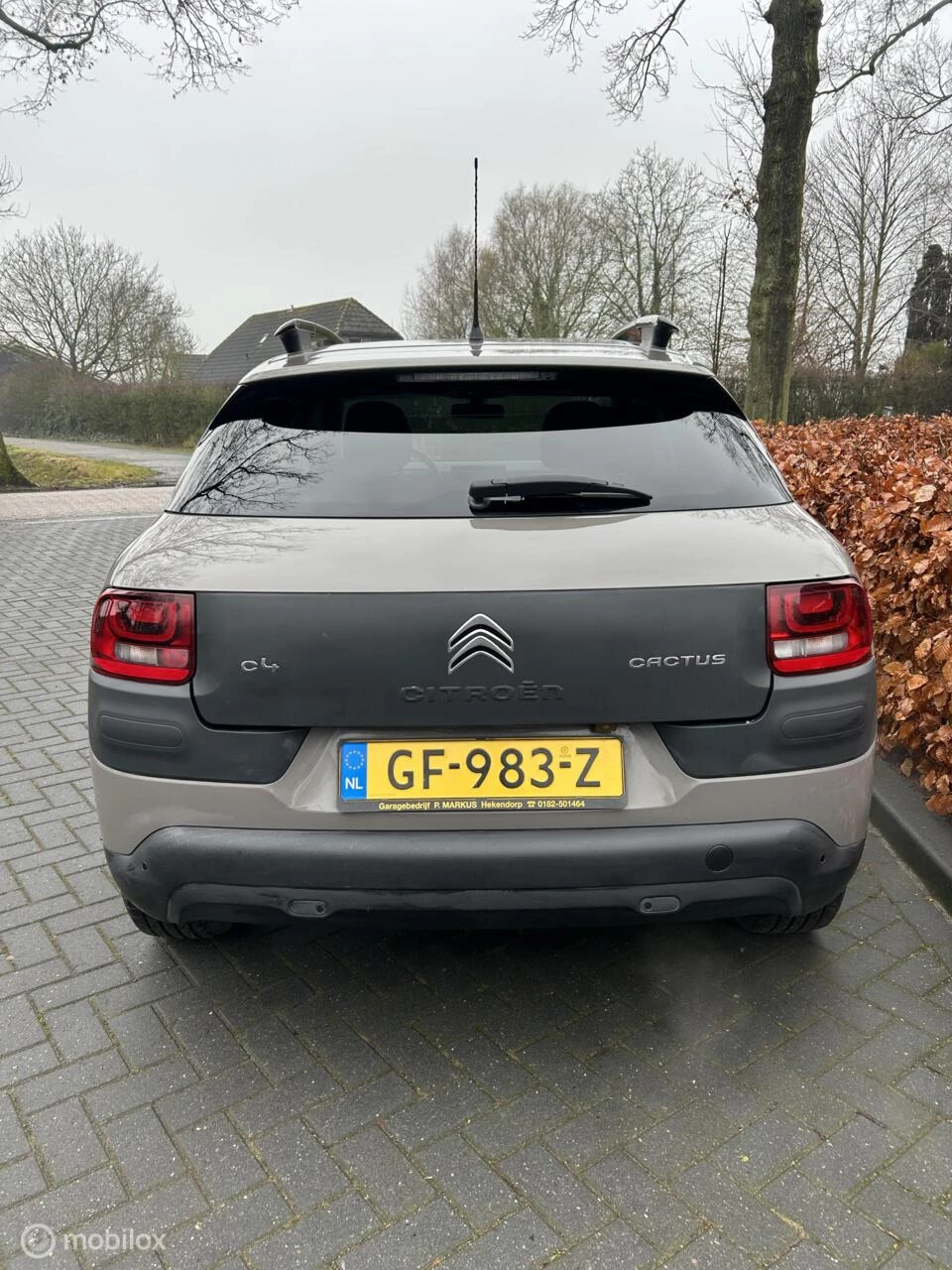 Hoofdafbeelding Citroën C4 Cactus