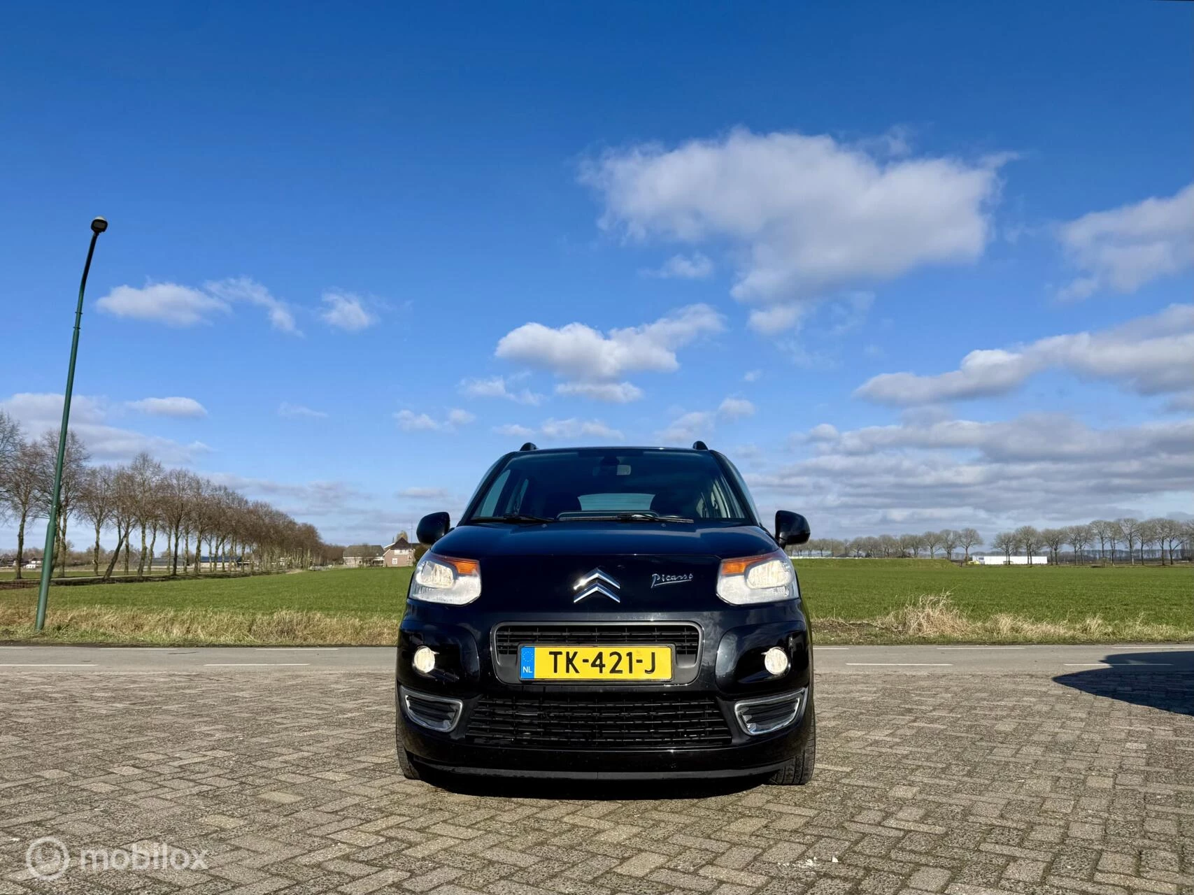 Hoofdafbeelding Citroën C3 Picasso