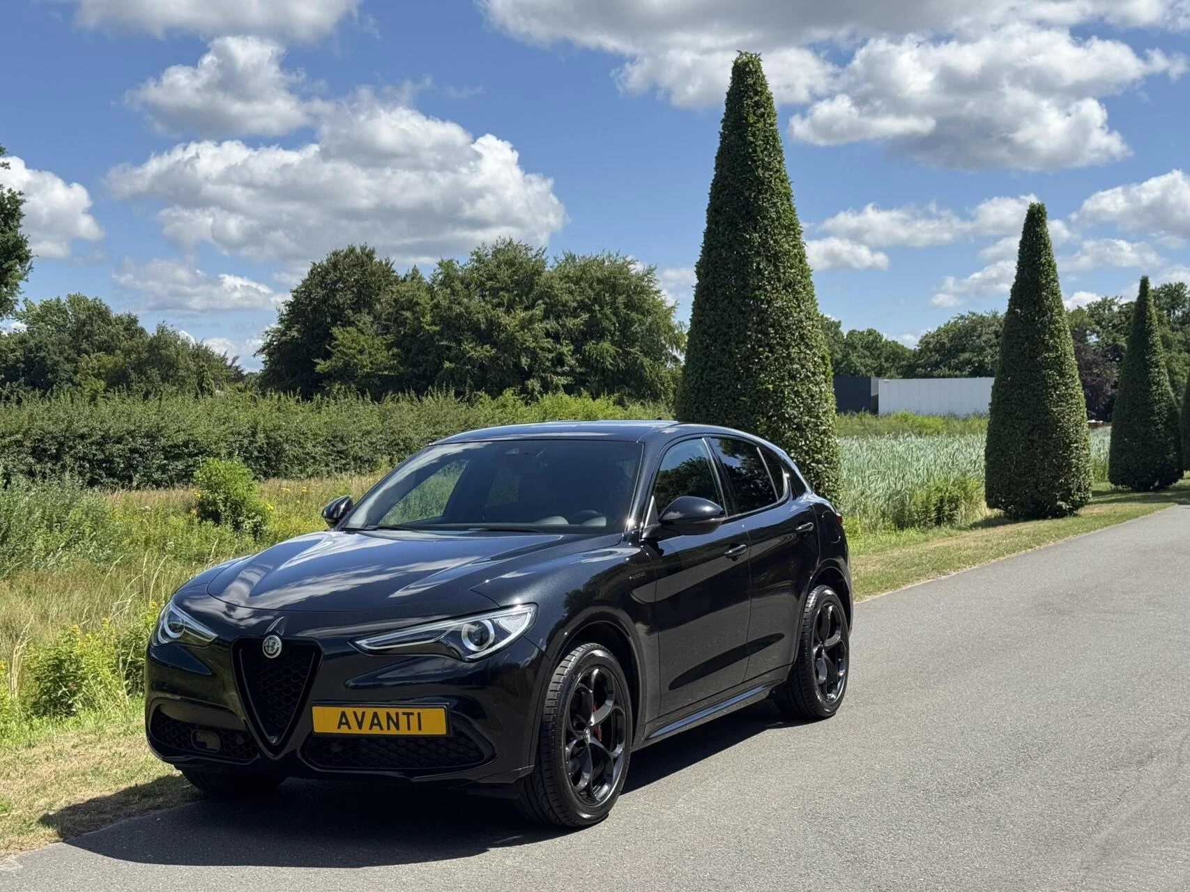 Hoofdafbeelding Alfa Romeo Stelvio
