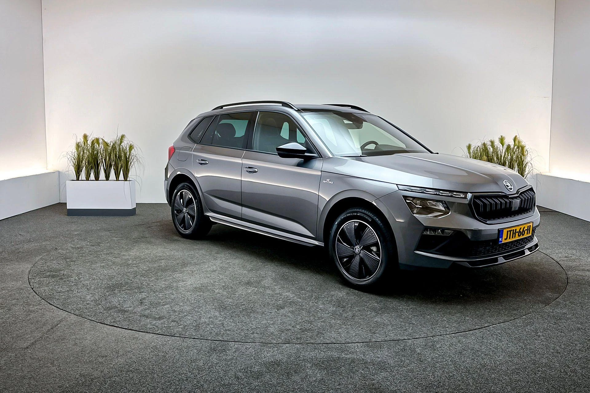 Hoofdafbeelding Škoda Kamiq