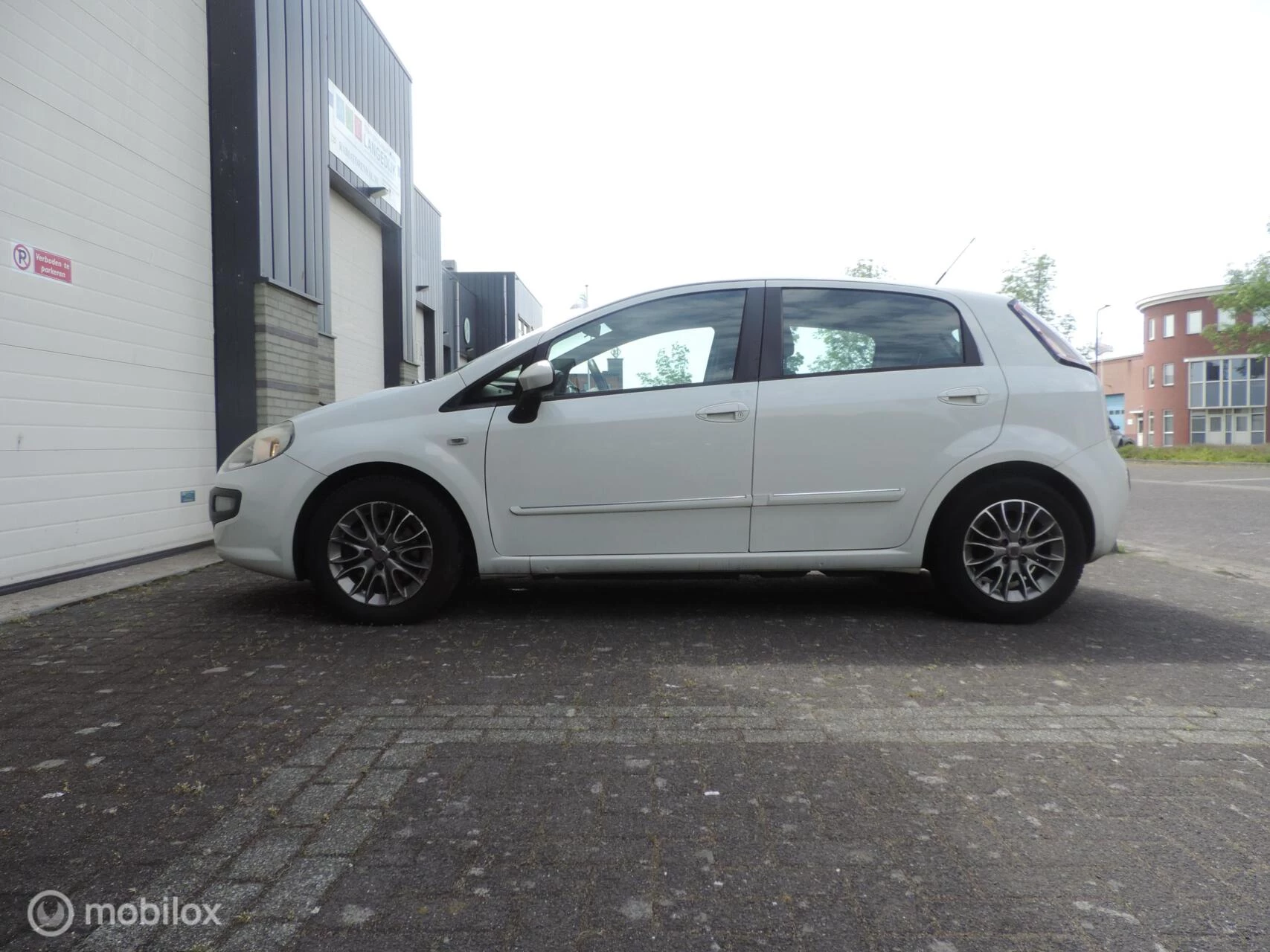 Hoofdafbeelding Fiat Punto