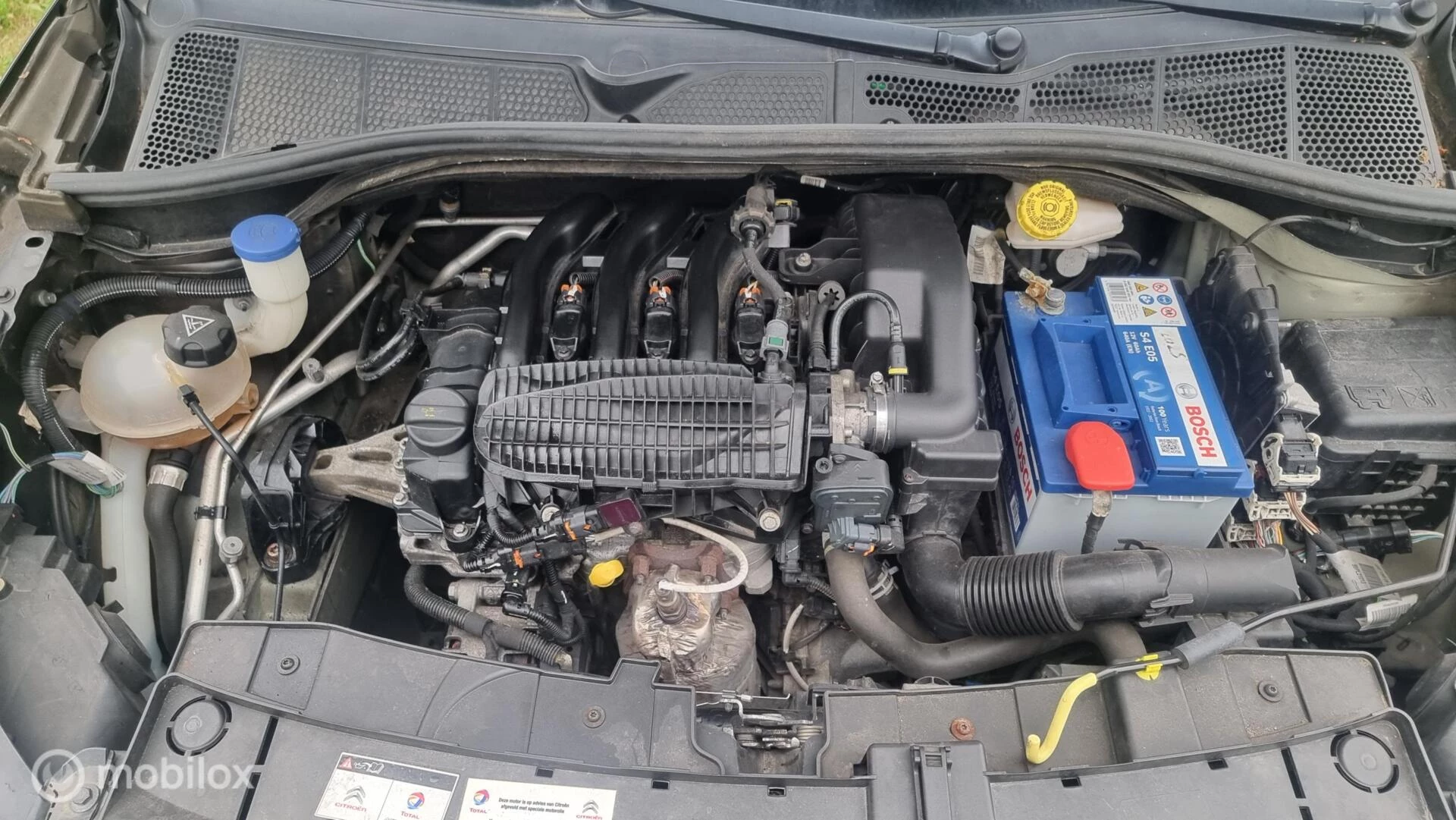 Hoofdafbeelding Citroën C4 Cactus