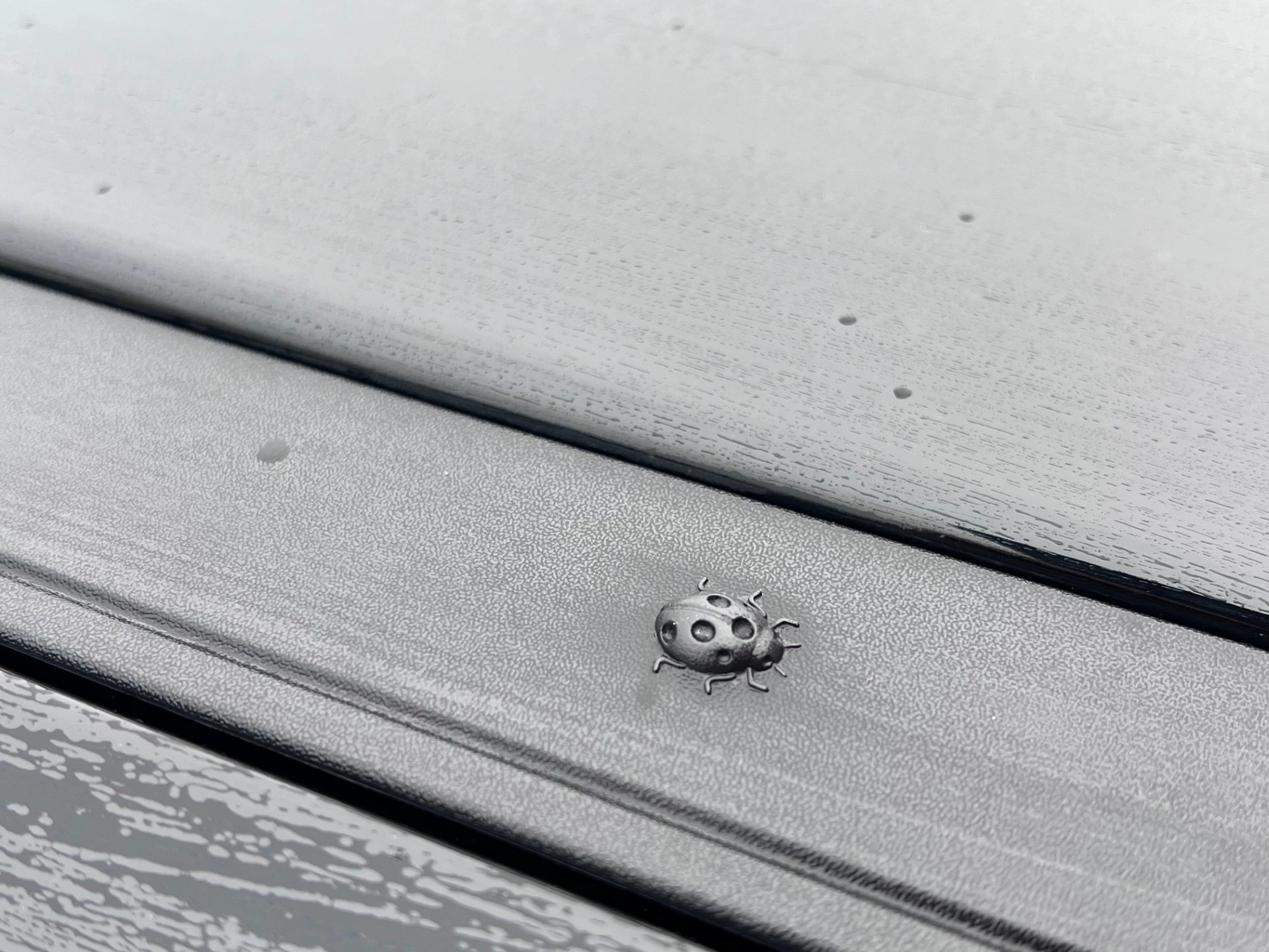 Hoofdafbeelding Jeep Avenger