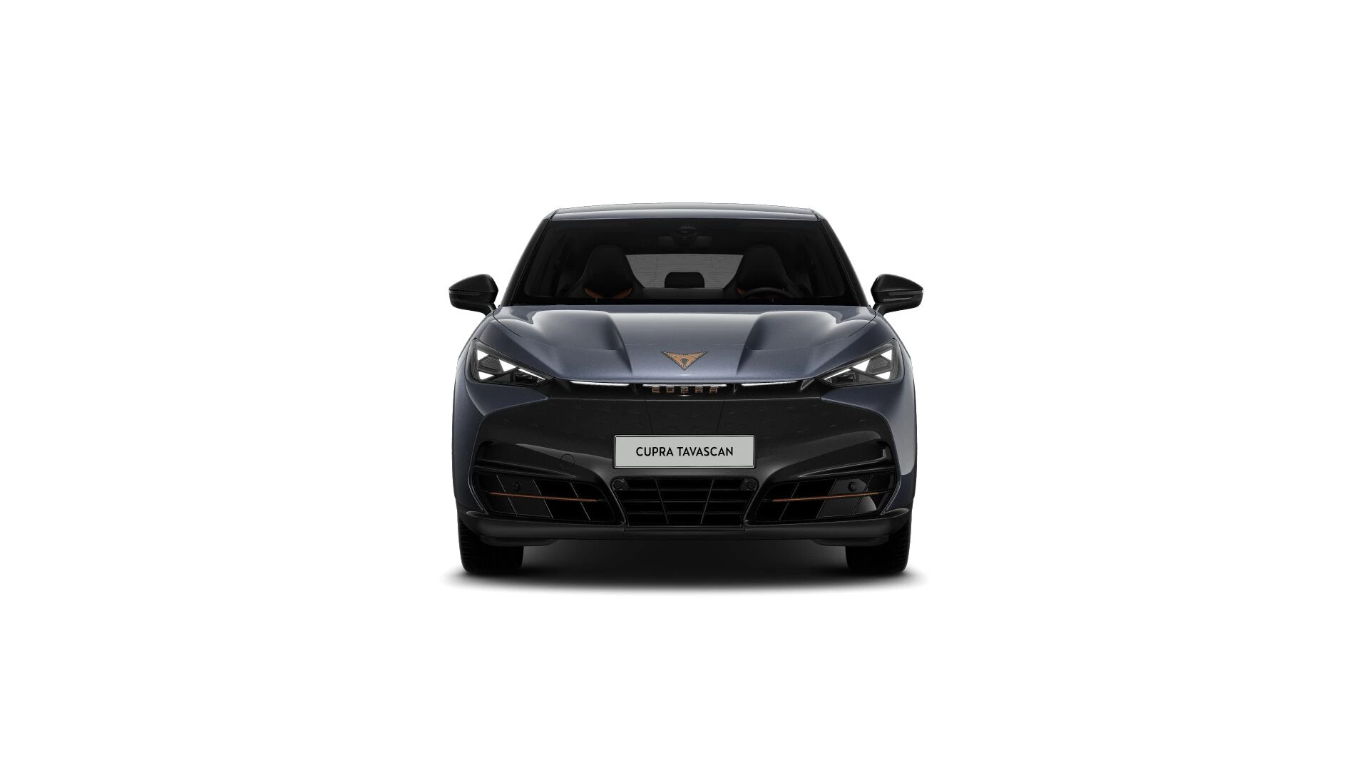 Hoofdafbeelding CUPRA Tavascan