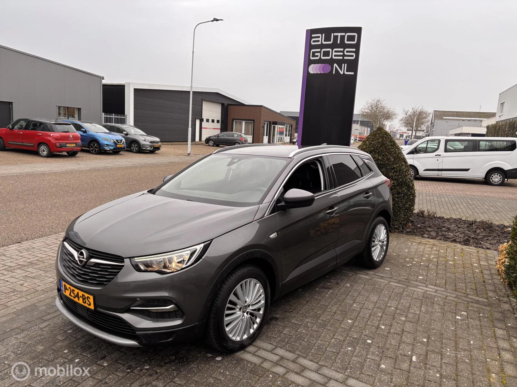 Hoofdafbeelding Opel Grandland X