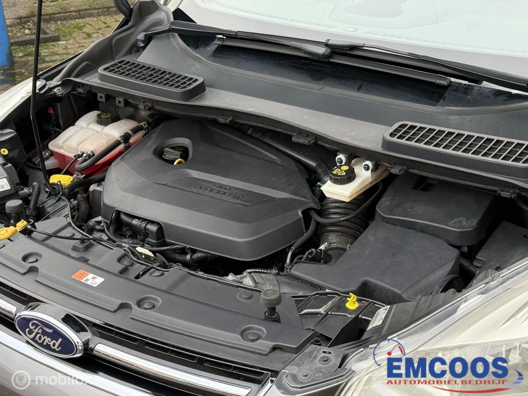 Hoofdafbeelding Ford Kuga