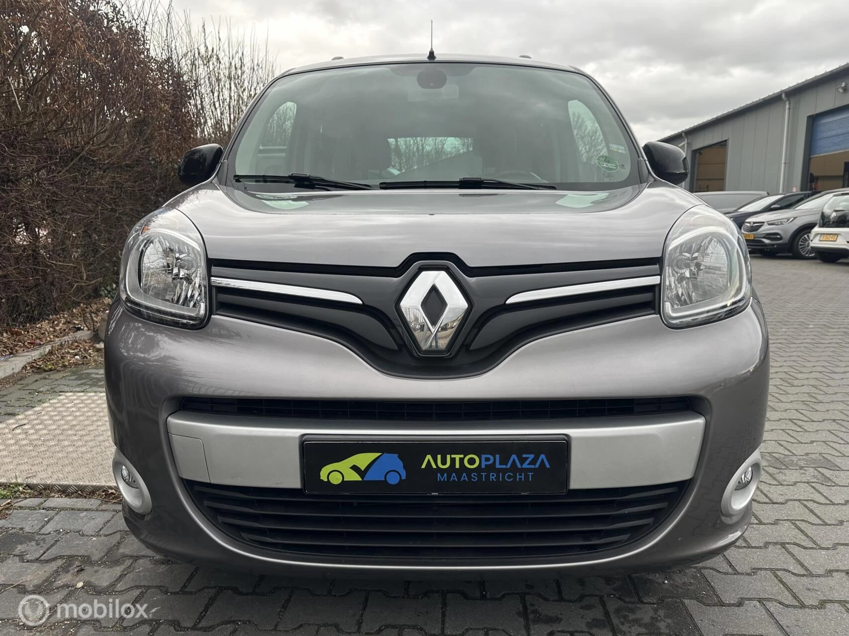 Hoofdafbeelding Renault Kangoo