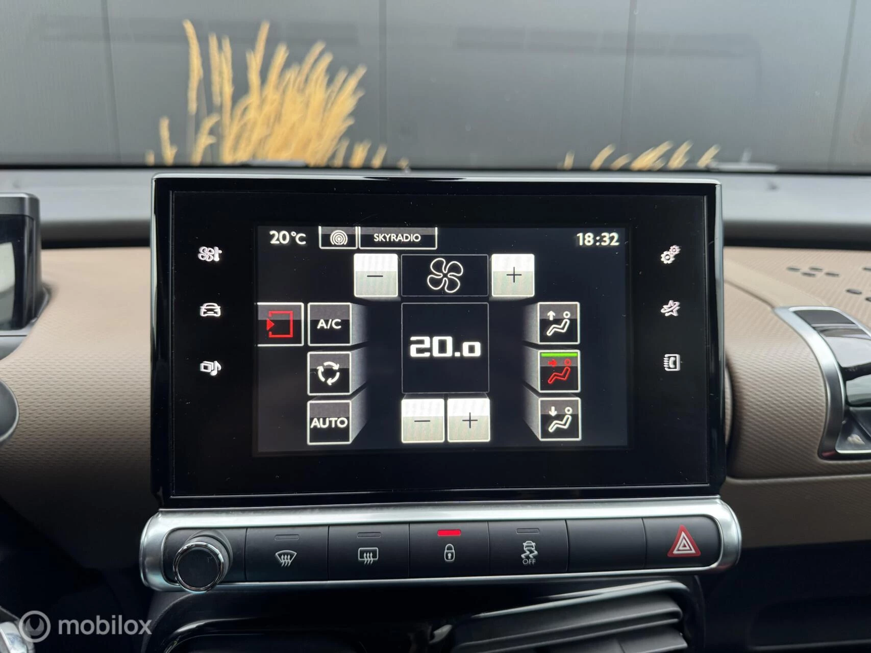 Hoofdafbeelding Citroën C4 Cactus