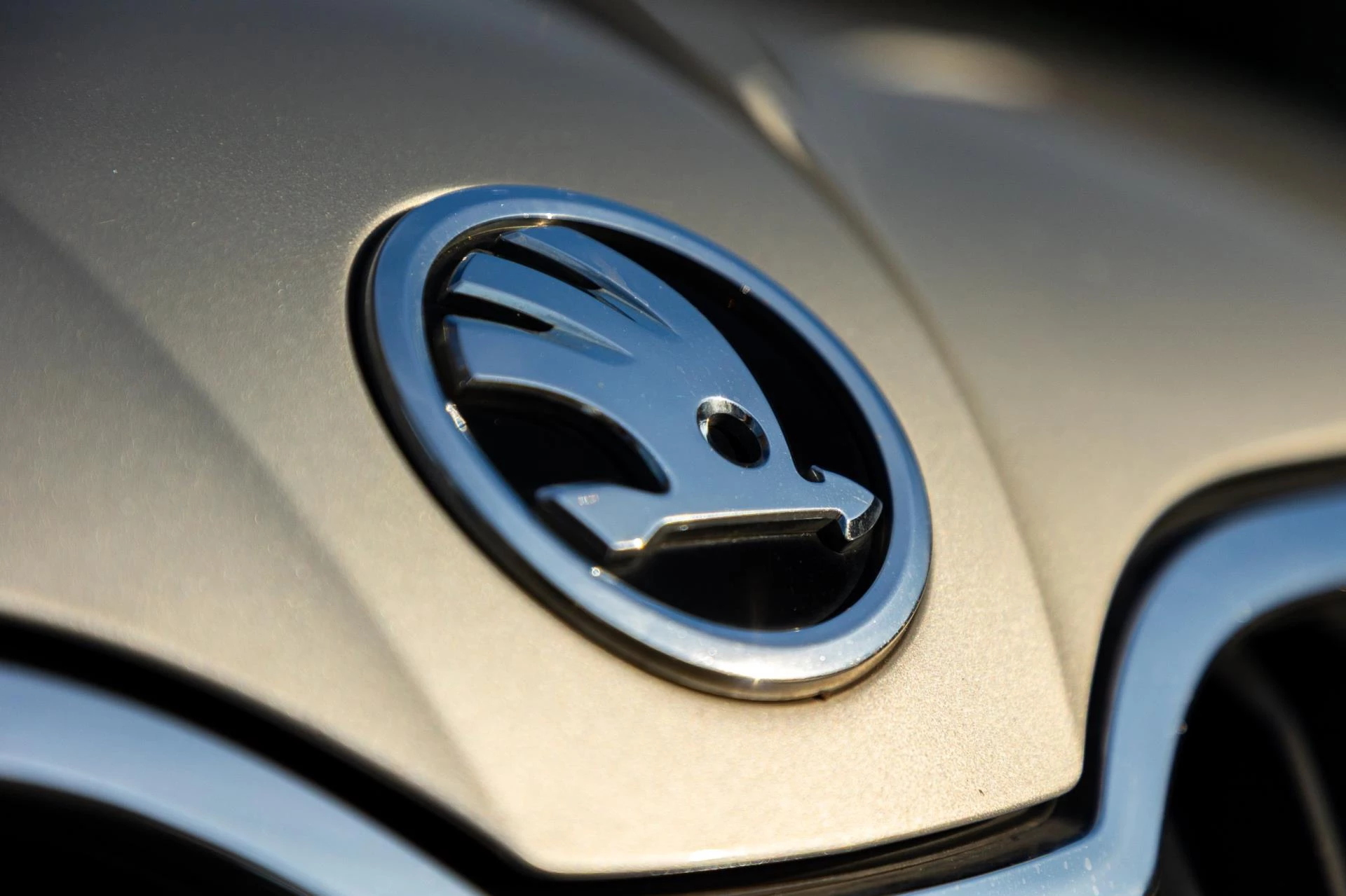 Hoofdafbeelding Škoda Rapid