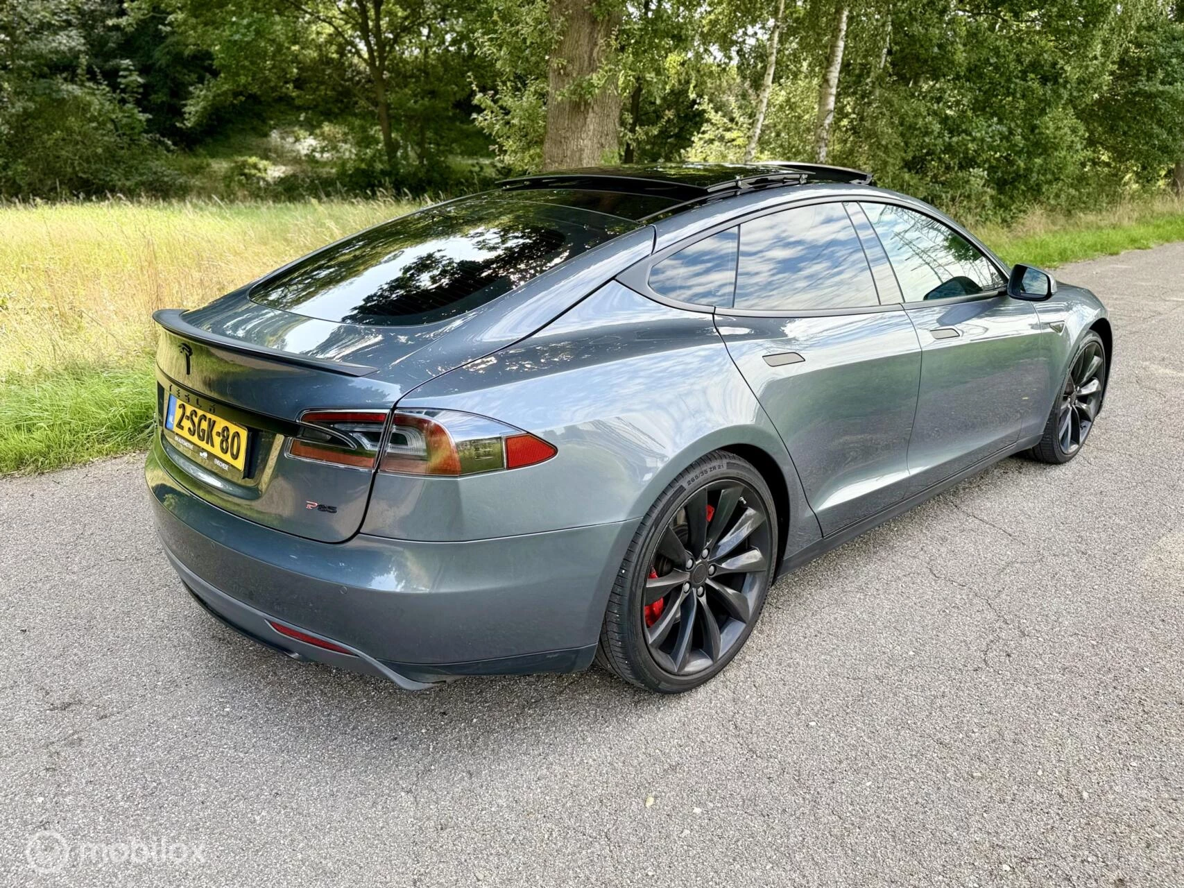Hoofdafbeelding Tesla Model S