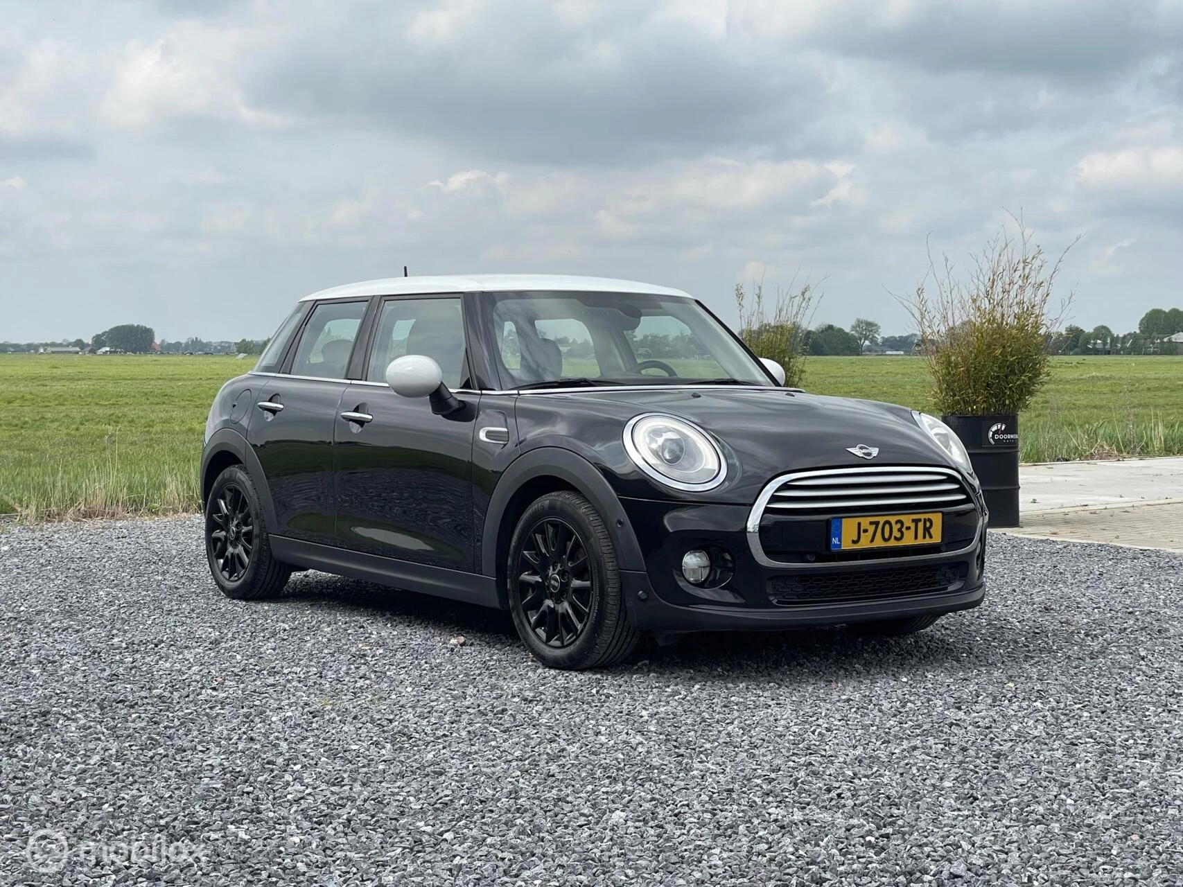 Hoofdafbeelding MINI Cooper
