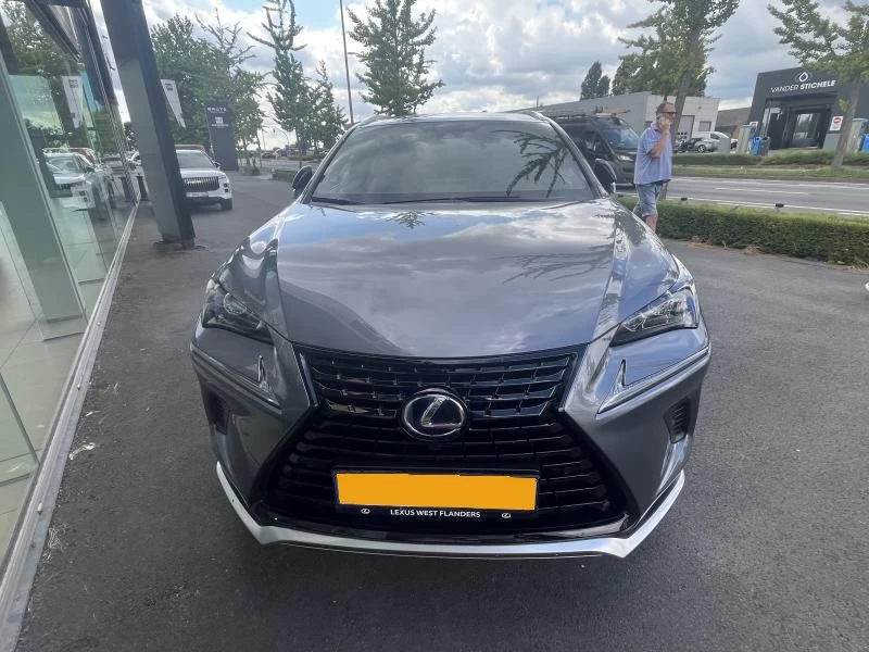 Hoofdafbeelding Lexus NX