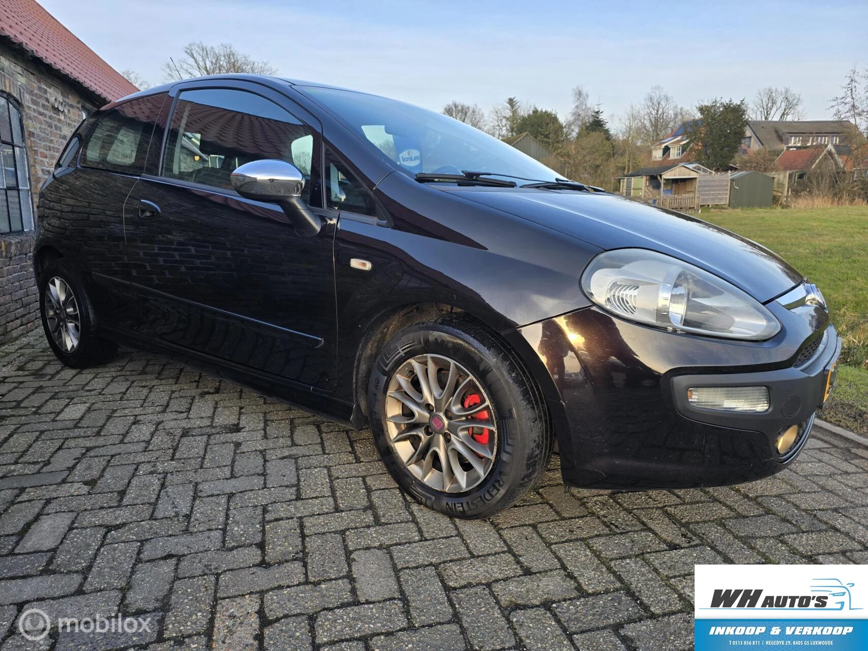 Hoofdafbeelding Fiat Punto