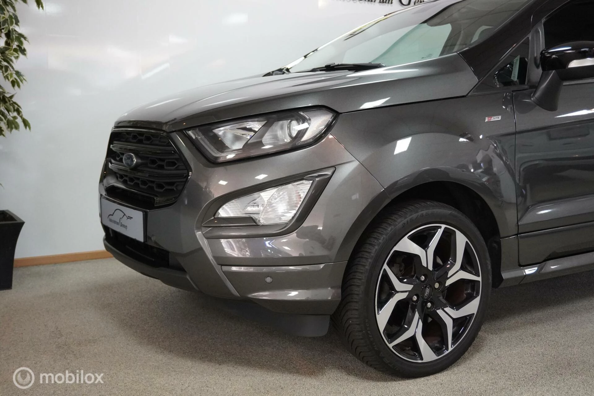 Hoofdafbeelding Ford EcoSport