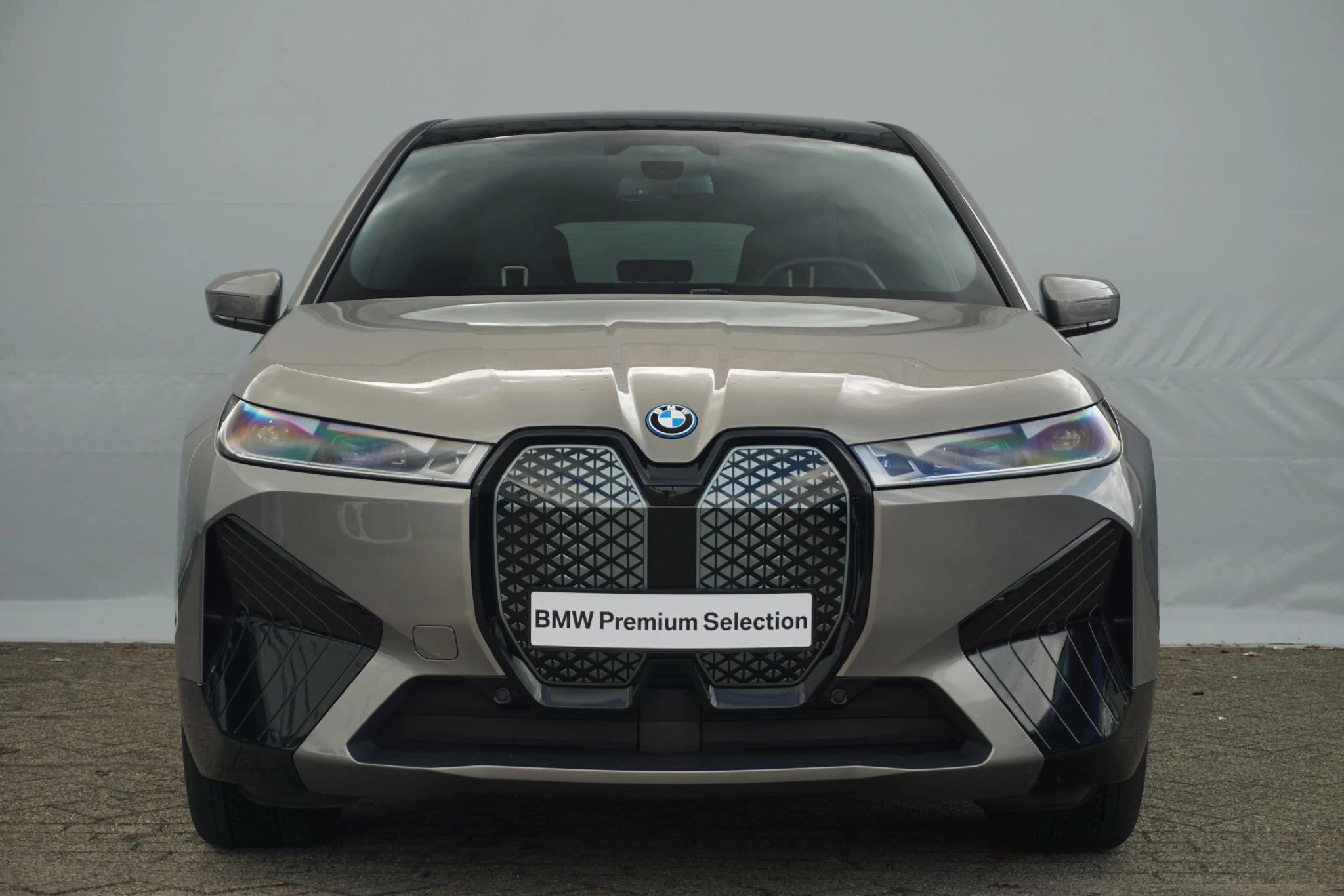 Hoofdafbeelding BMW iX