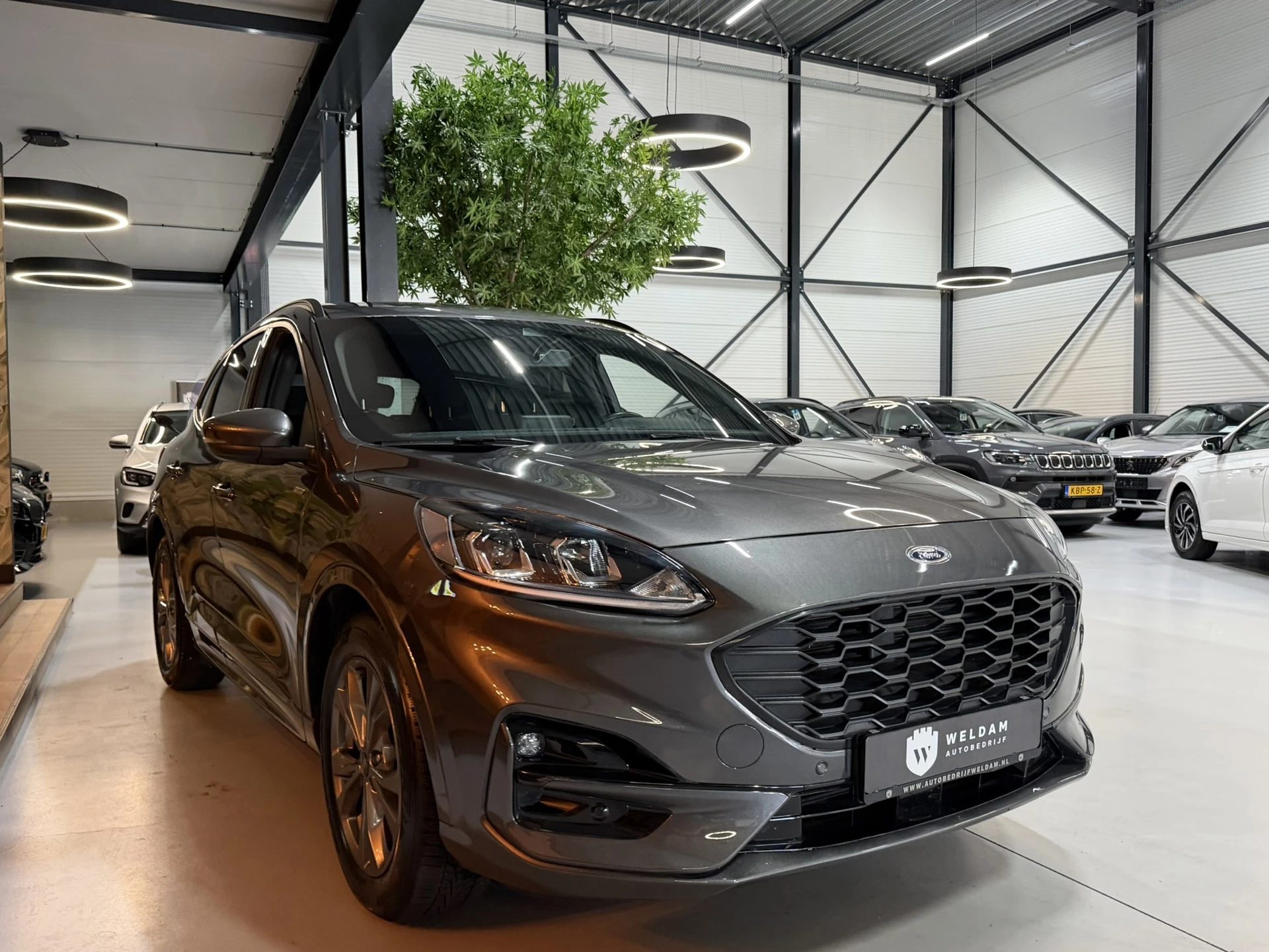 Hoofdafbeelding Ford Kuga