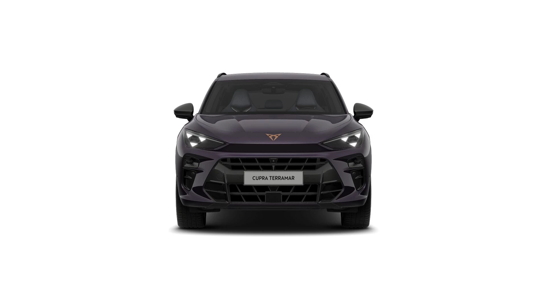 Hoofdafbeelding CUPRA Terramar