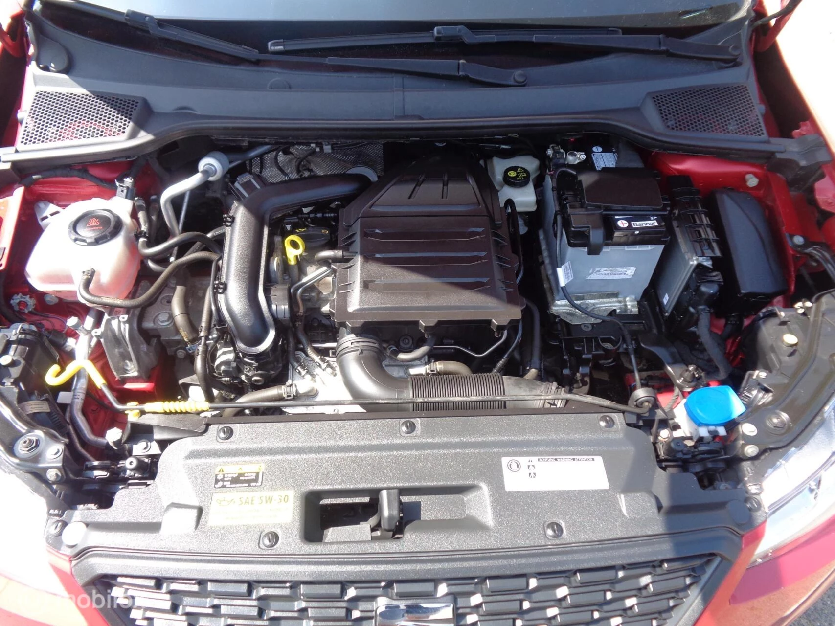Hoofdafbeelding SEAT Arona