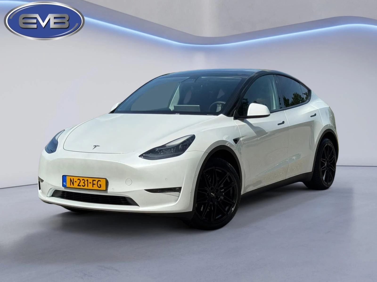 Hoofdafbeelding Tesla Model Y