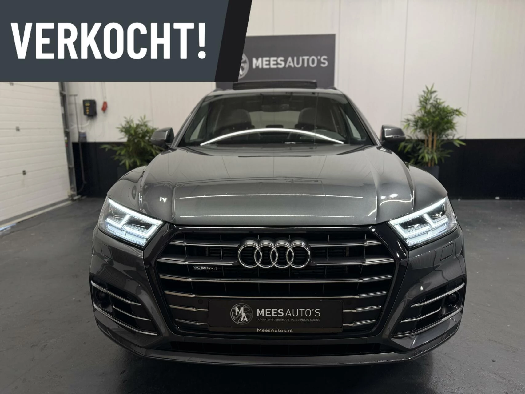 Hoofdafbeelding Audi Q5